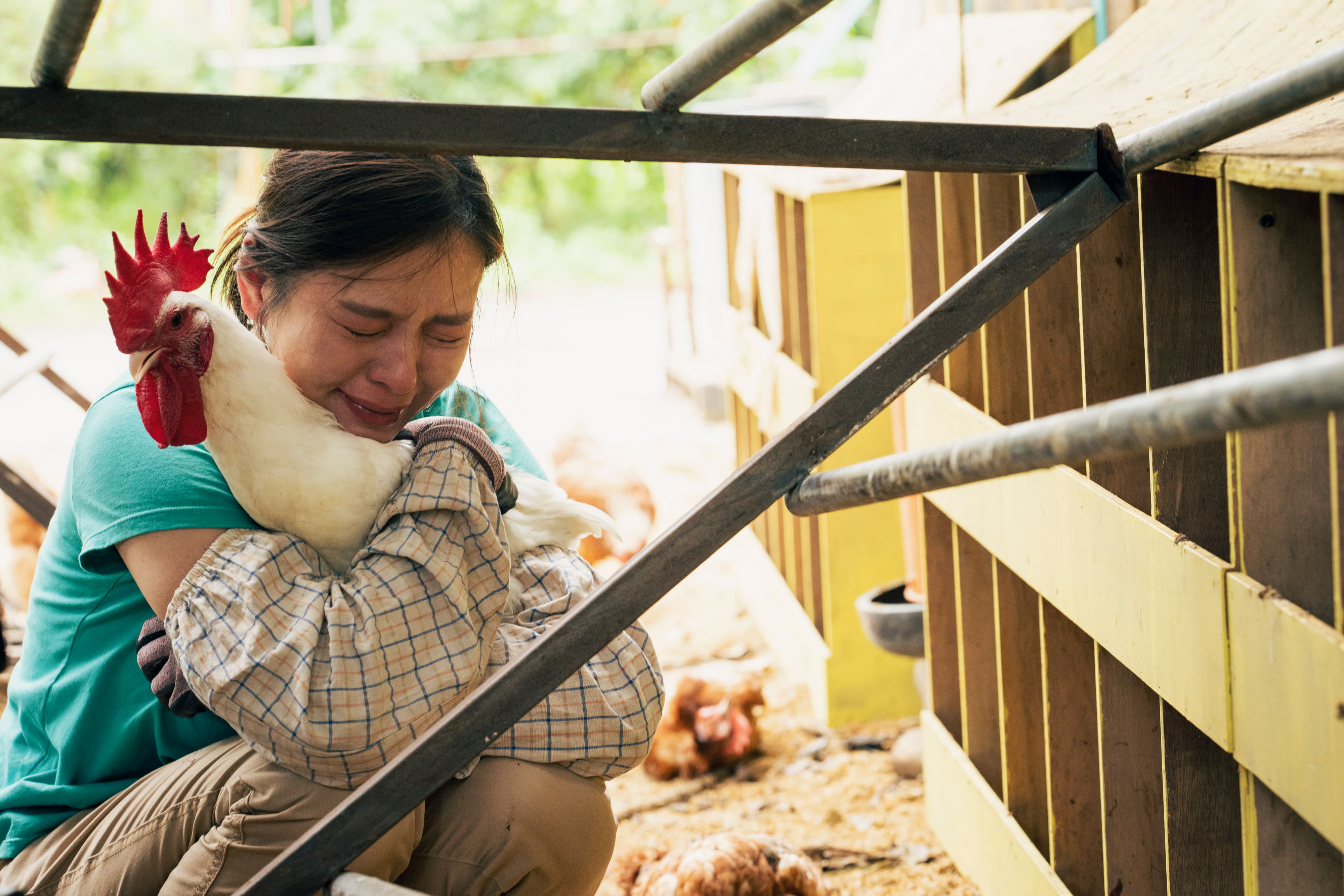 劉品言與雞有大量對手戲。（伯樂影業提供）