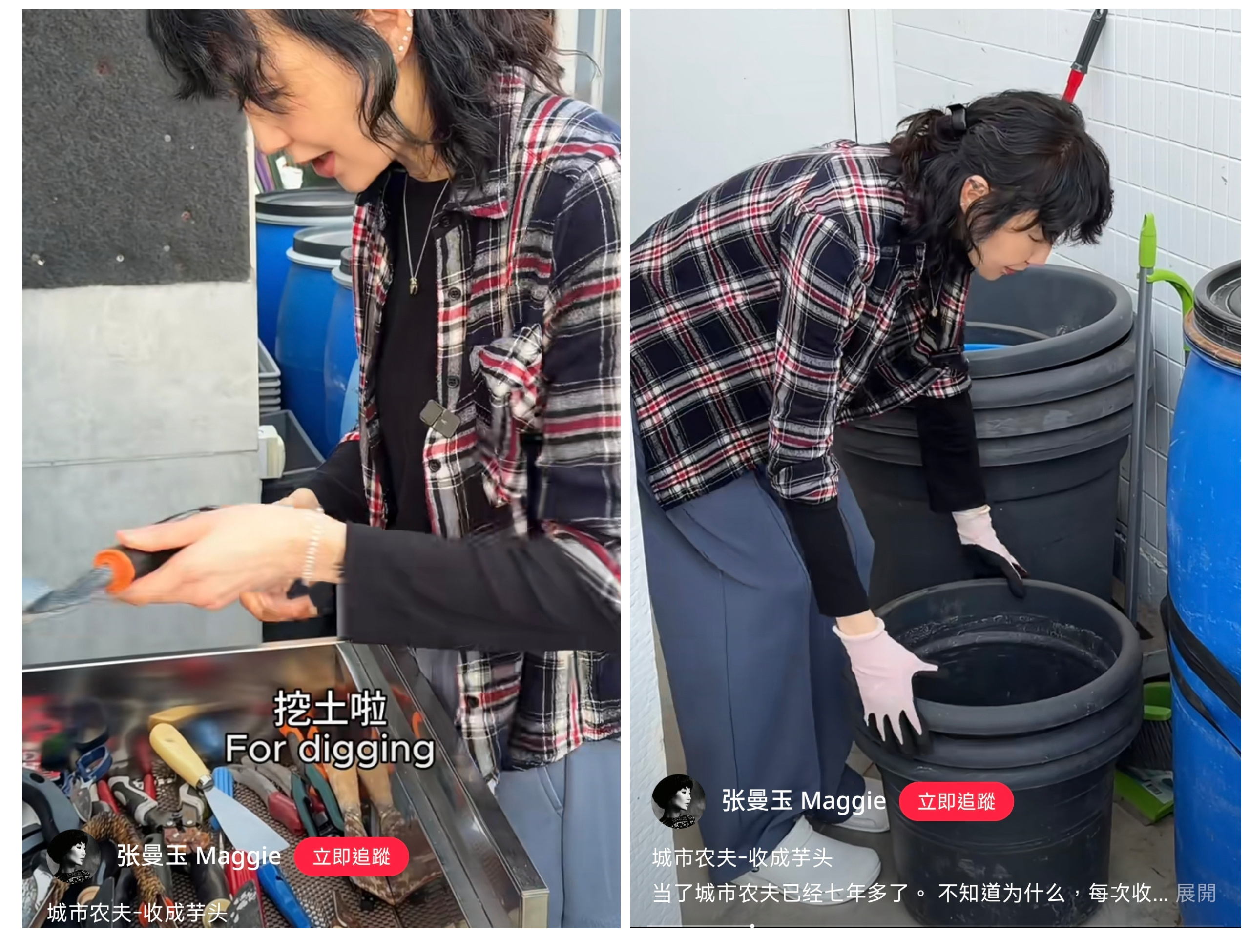 張曼玉不愧當了7年農夫,工具一應俱全,容器也堆放得很整齊。(翻攝張曼玉小紅書)