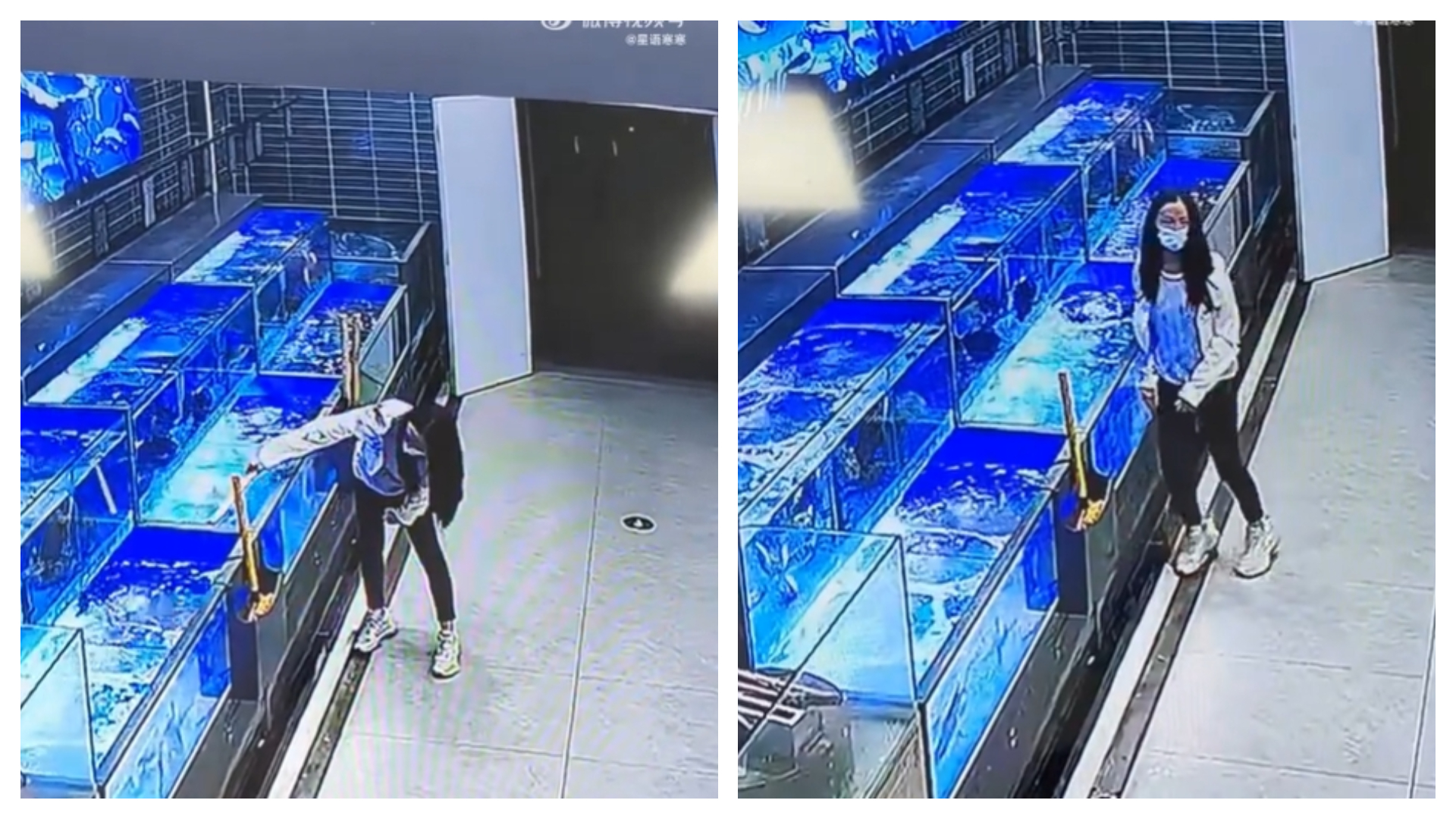 1名女子為了逼店員降價，對活魚施以「佛山無影腳」，但店員發現該女有逃單前科，故沒賣給對方。（翻攝自微博）