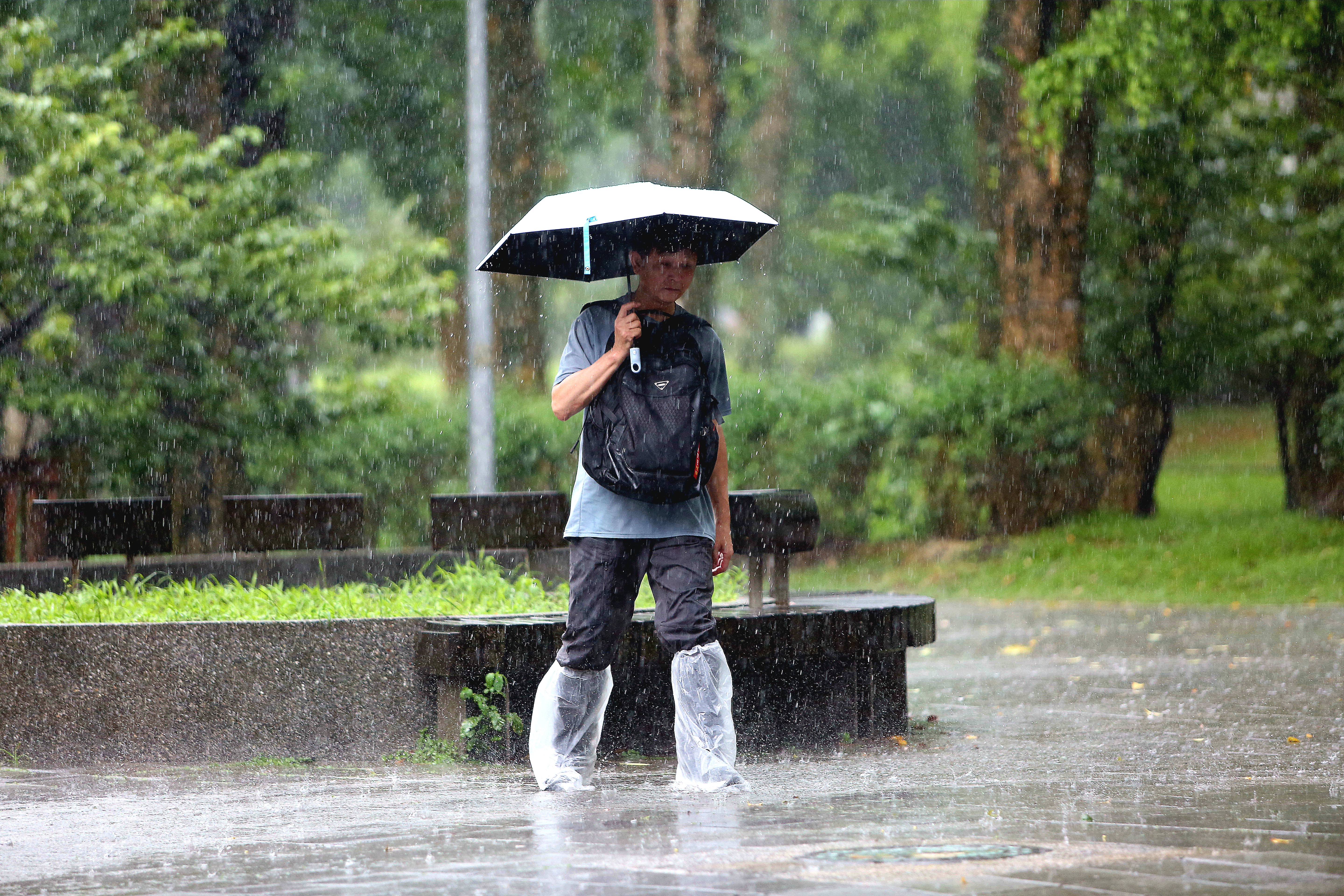 中央氣象署對12縣市發布大雨特報。（鏡報姜永年）