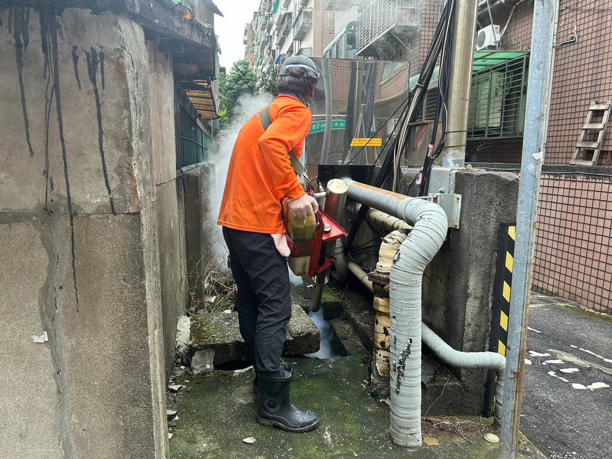 新北市30日公布新增6例本土登革熱,感染仍與原防疫管制區域有關。(新北市衛生局提供)