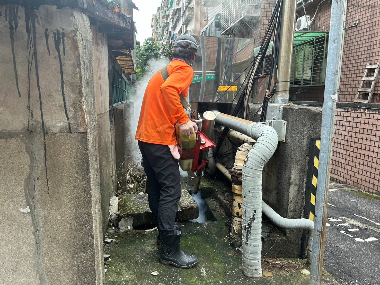 新北市30日公布新增6例本土登革熱，感染仍與原防疫管制區域有關。（新北市衛生局提供）