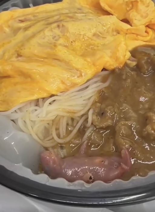 女子原本滿心期待回辦公室享用午餐，沒想到沙嗲牛肉旁竟躺著1隻全身沾滿醬汁、活生生的剛出生幼鼠。（翻攝自threads@sandysin_victorys）