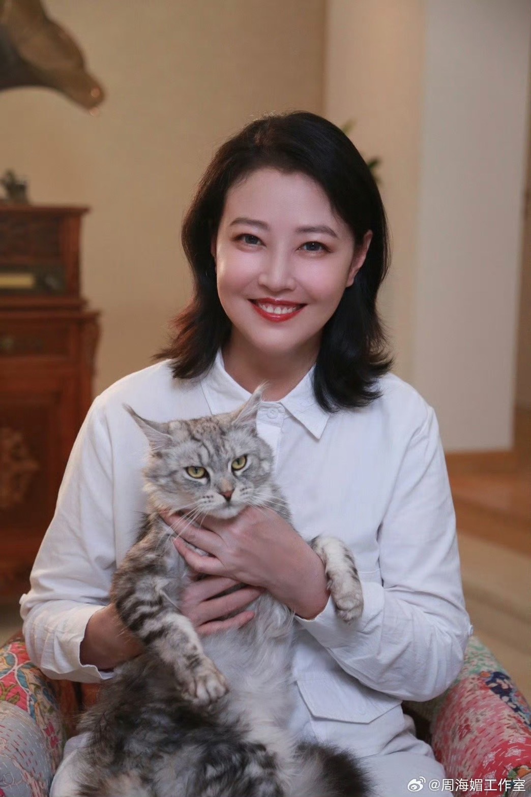 周海媚時常抱貓咪入鏡。（翻攝微博）