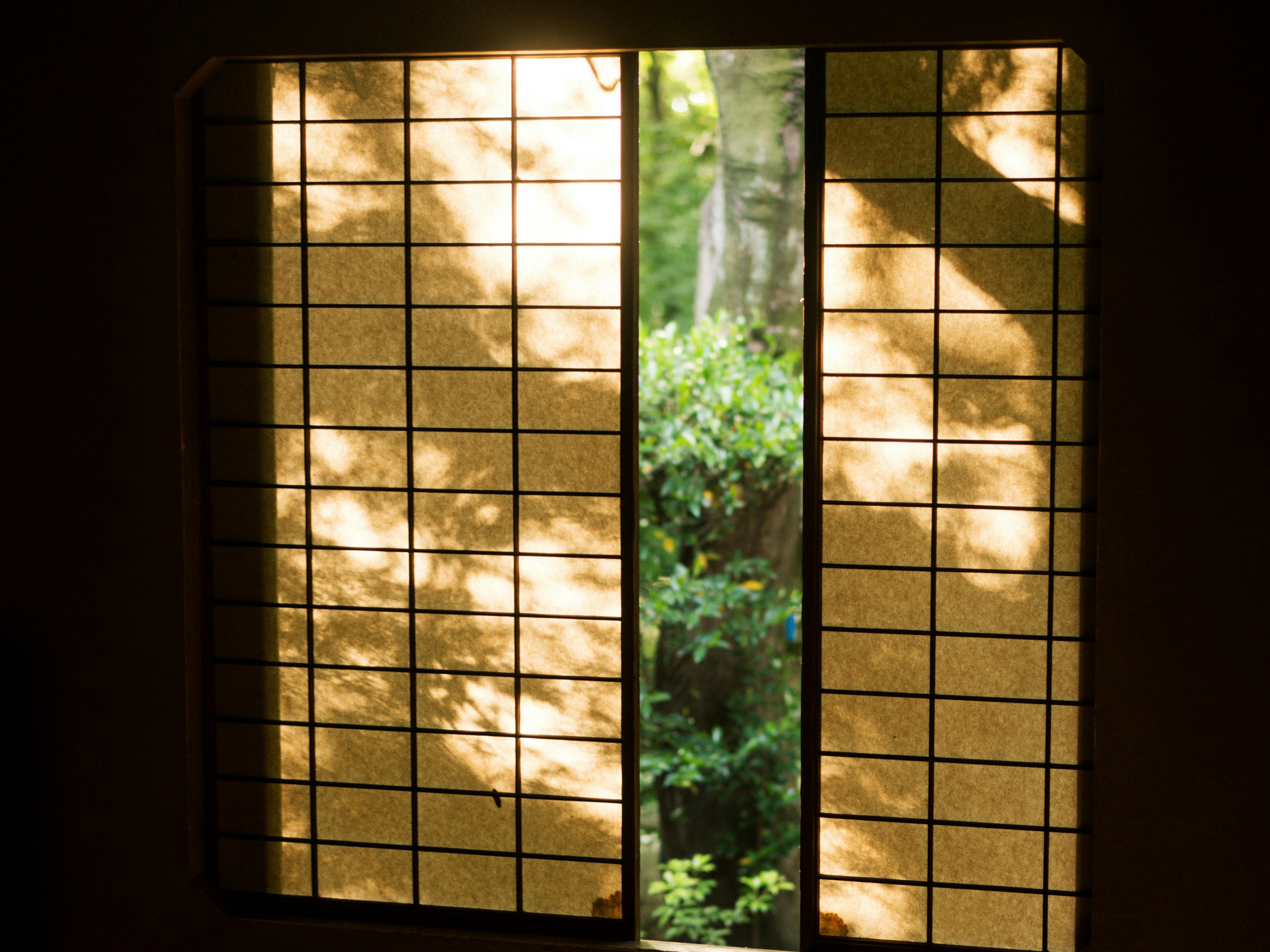 日本一對原本住在東京的70多歲老夫婦，在退休後決定搬到鄉下便宜老房子。（示意圖，pexels提供）