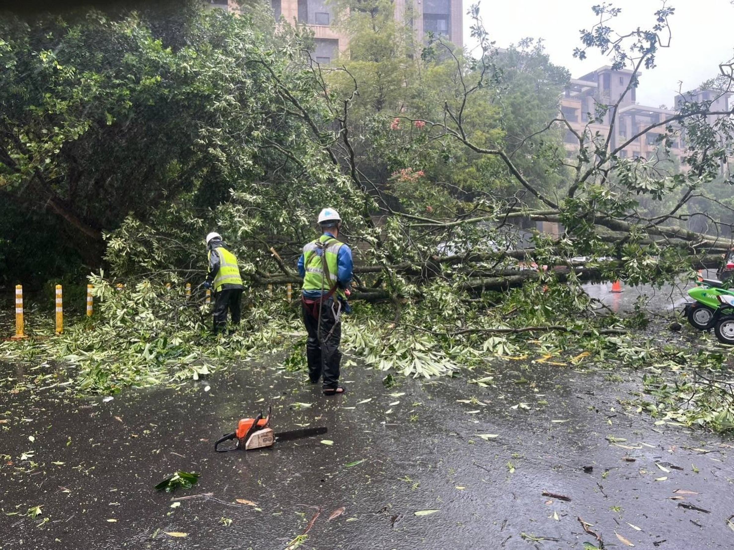 清潔隊清晨起就開始清理路面倒塌的路樹與掉落的招牌。（北市府提供）