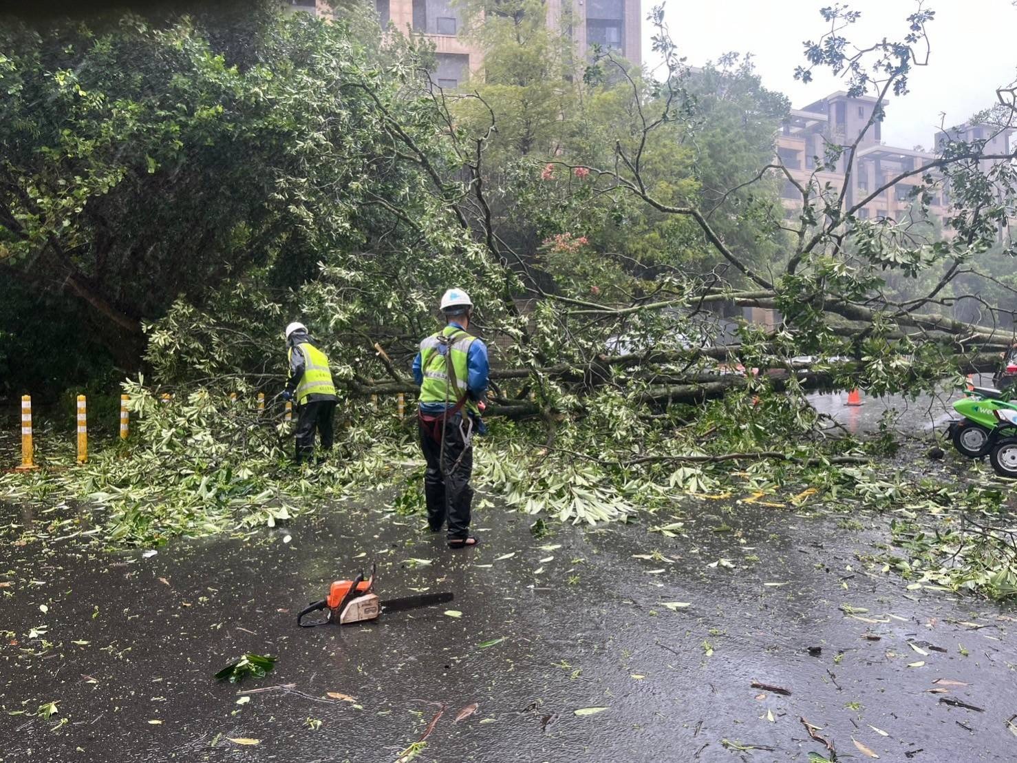 清潔隊清晨起就開始清理路面倒塌的路樹與掉落的招牌。（北市府提供）