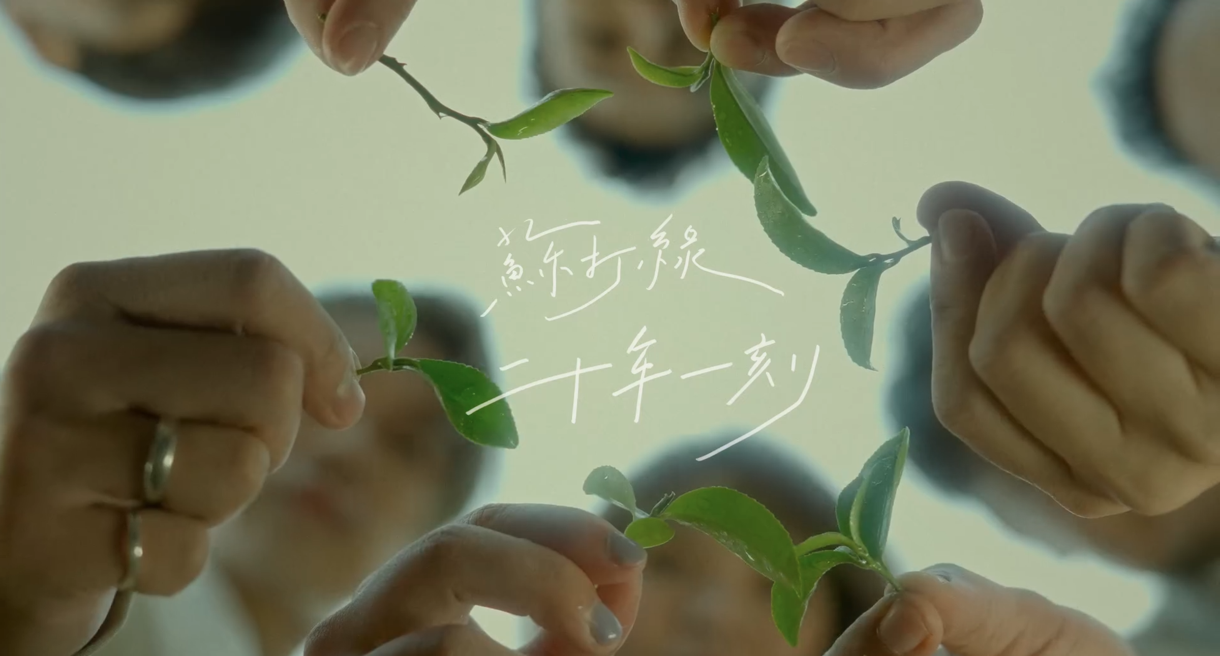 樂團蘇打綠2024便成團20年，宣布將於明年春季啟動新巡演「二十年一刻」。（翻攝臉書「蘇打綠二十年一刻巡迴演唱會 」）