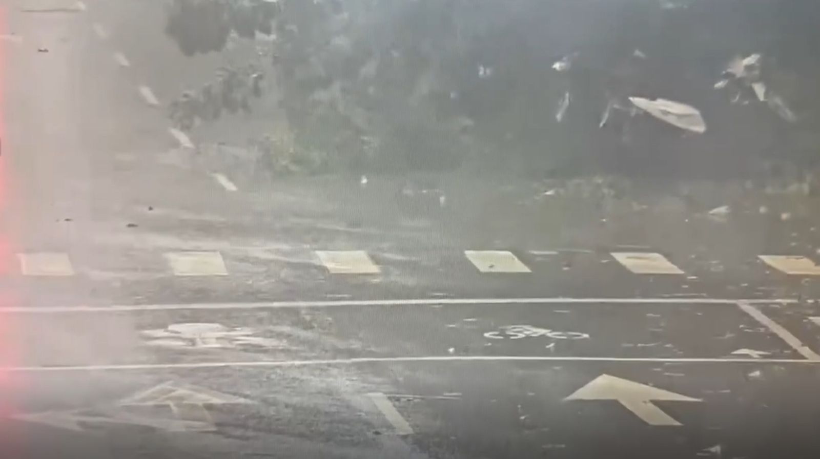 驚悚瞬間曝光!薔琵颱風來襲「狂風暴雨炸台」 路樹倒塌「汽車、機車慘遭波及」