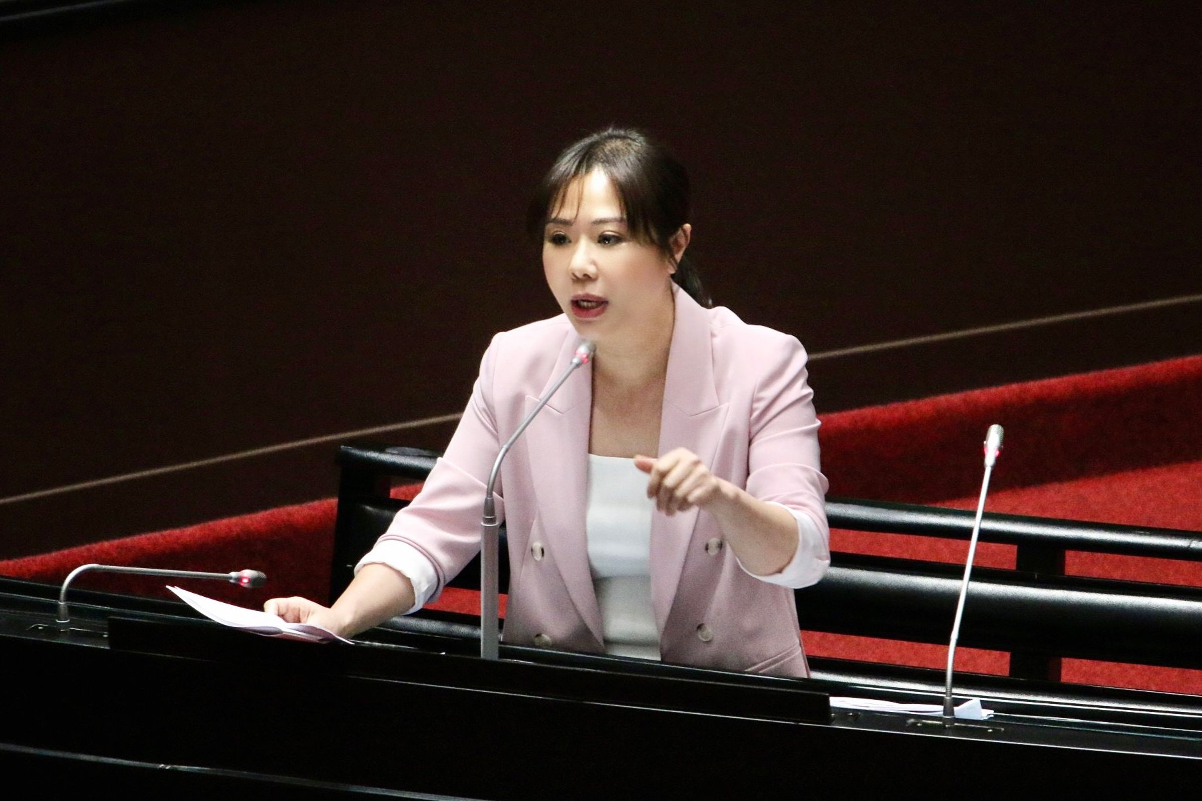 李彥秀質疑政院下個覆議目標即是《原住民保留地禁伐補償條例》。(立委李彥秀國會辦公室提供)