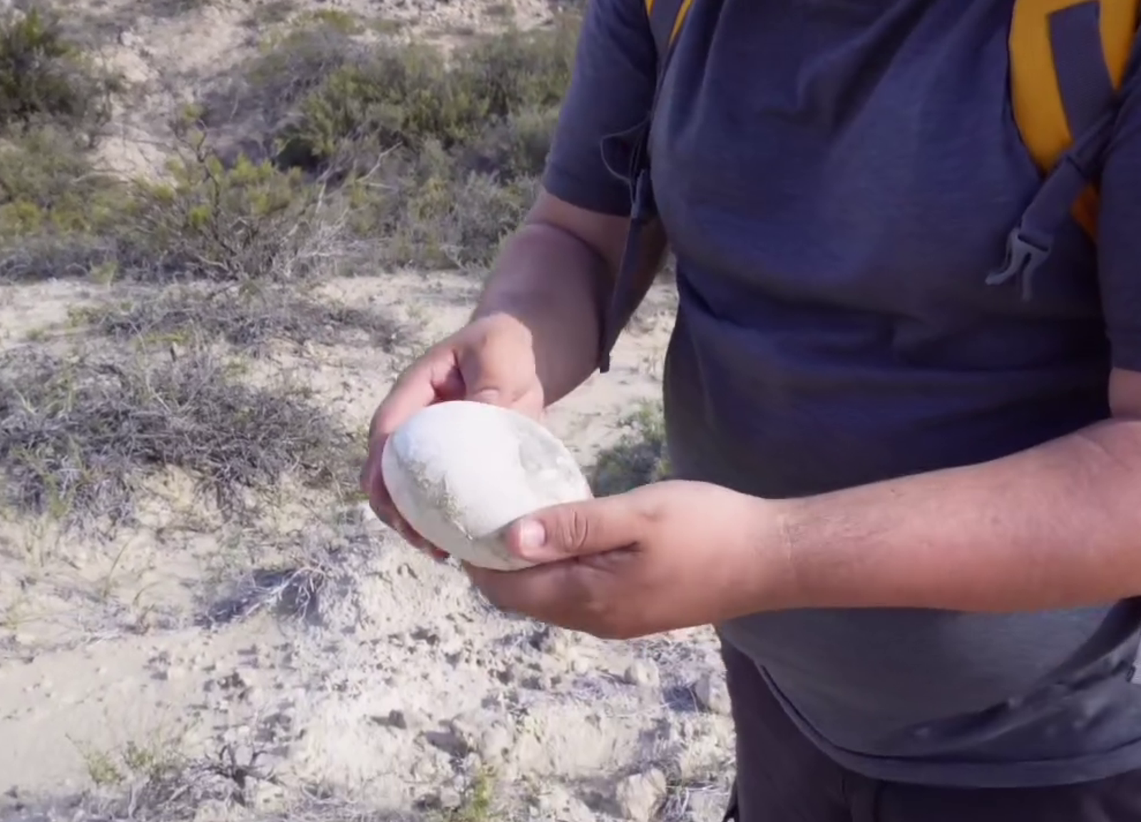 恐龍蛋表面平滑堅固、幾乎毫髮無損，讓科學家驚訝不已。（paleocueva.lacev IG）