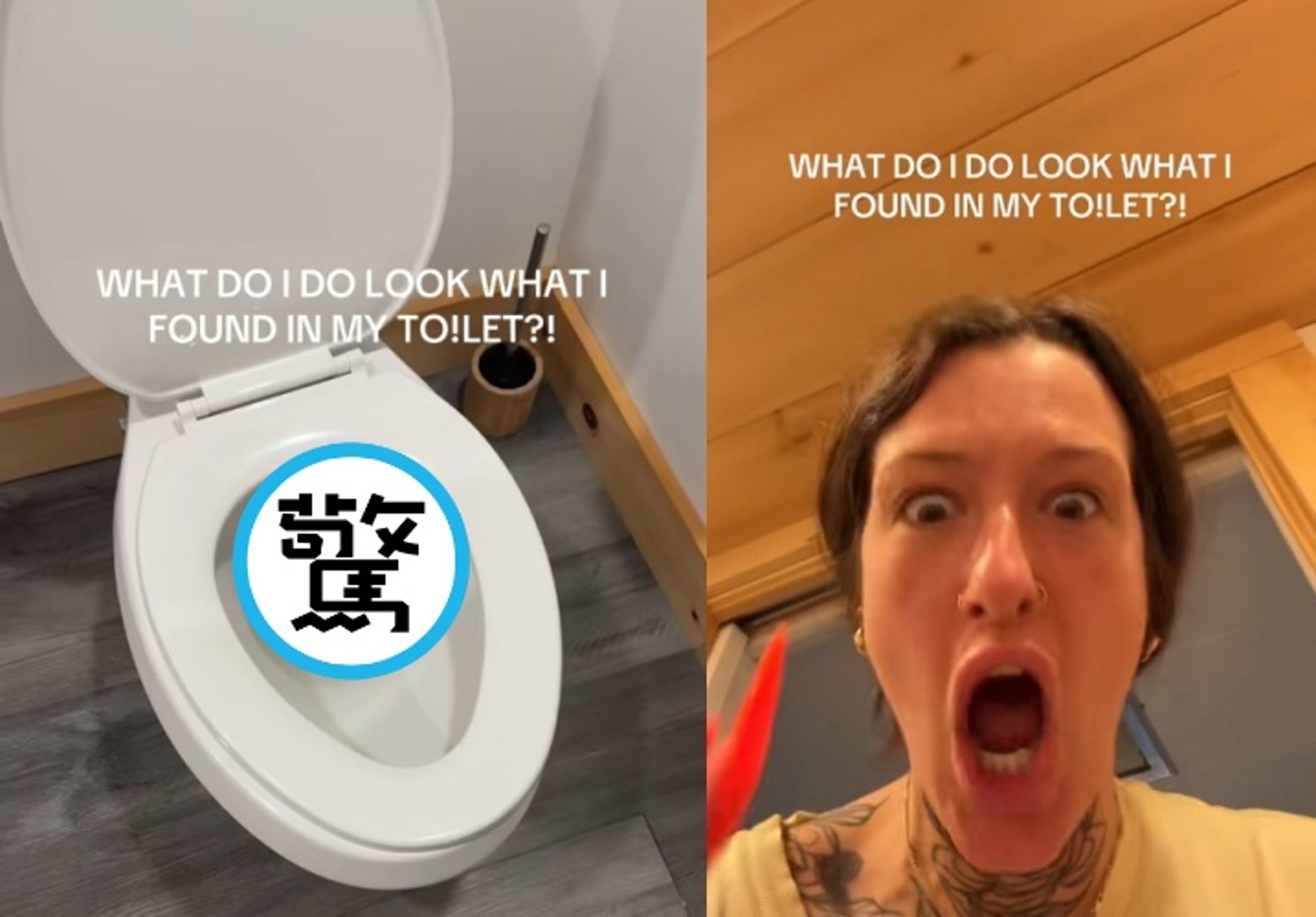 該女子打開馬桶蓋見到該生物橫躺水上,讓她嚇得不輕。(翻攝自tiktok @tismpump_)