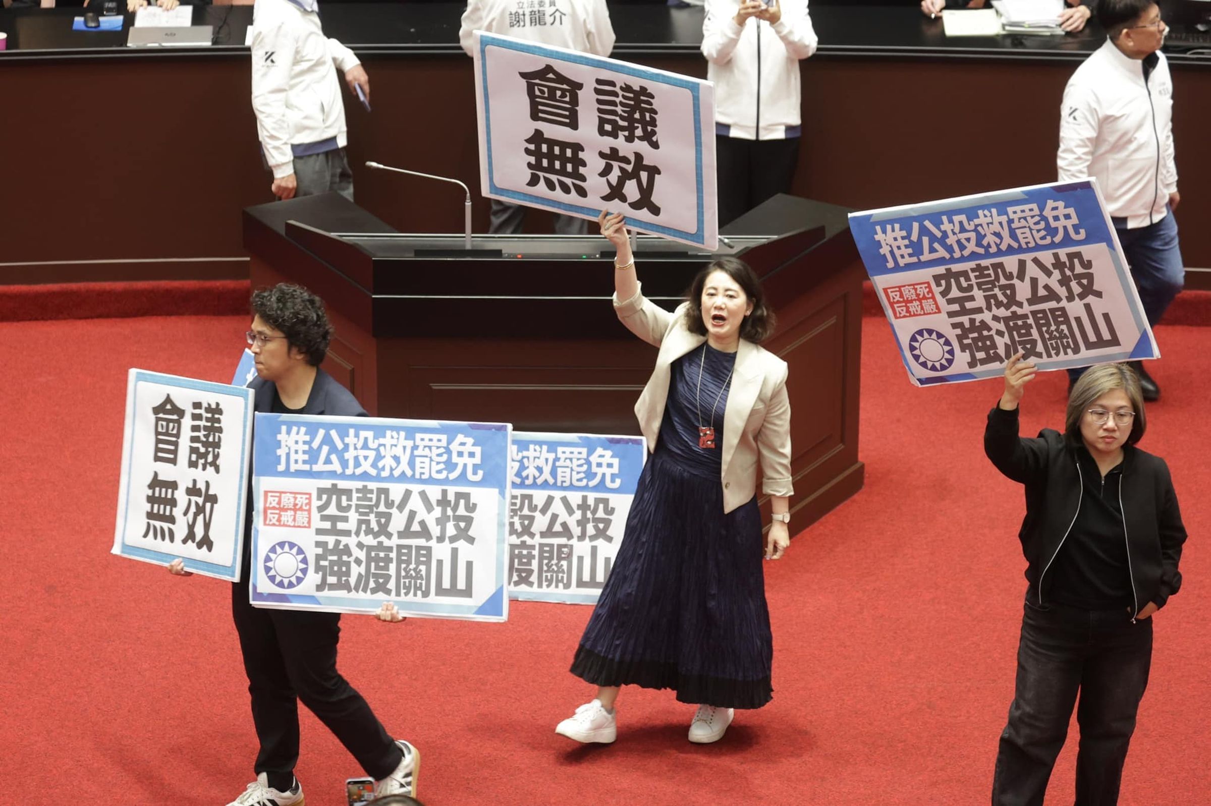 為反制大罷免,國民黨團提出反廢死、返戒嚴公投,其已經昨晚在藍白人數優勢下逕付二讀。(翻攝自臉書@吳思瑤)