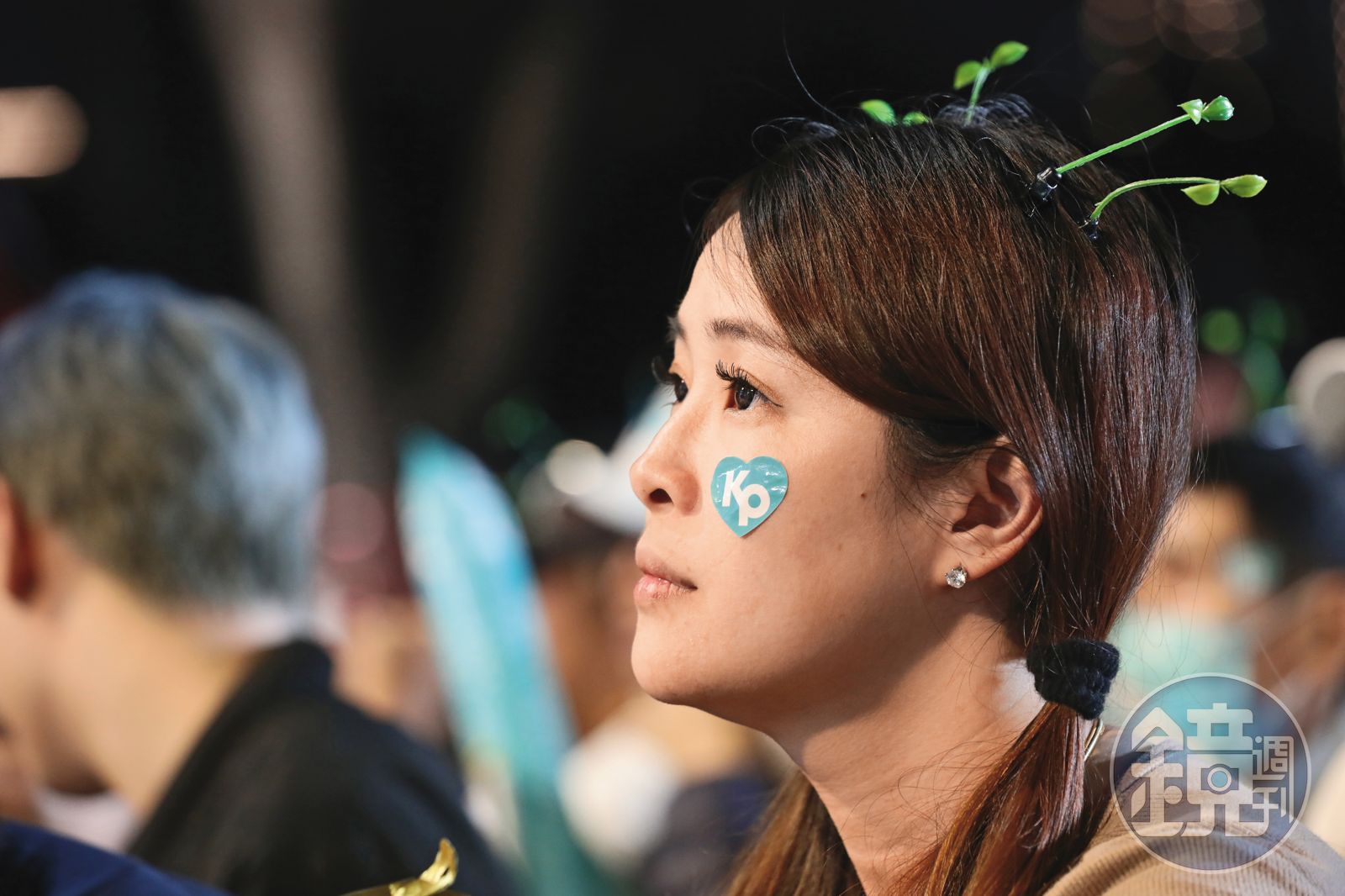 在沒白營母雞的縣市,小草投票意向牽動選情