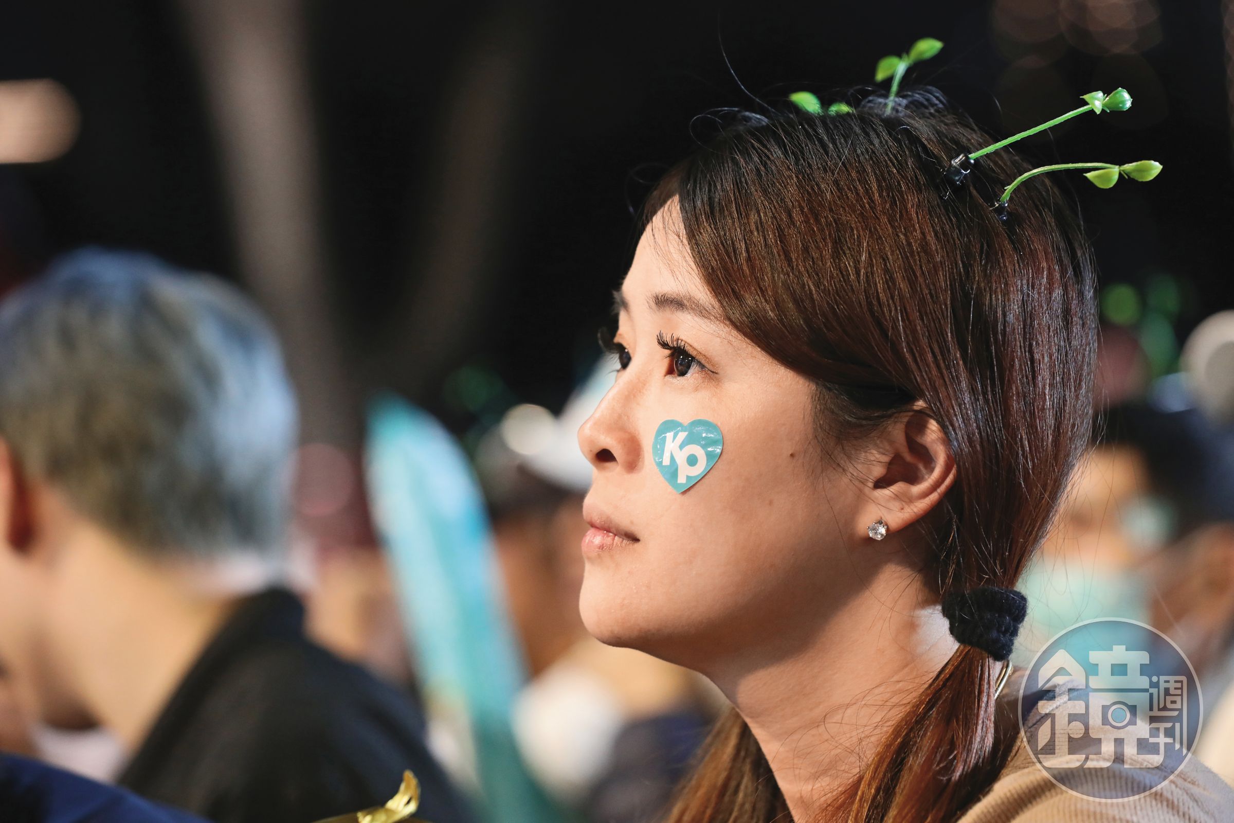 在沒白營母雞的縣市,小草投票意向牽動選情。