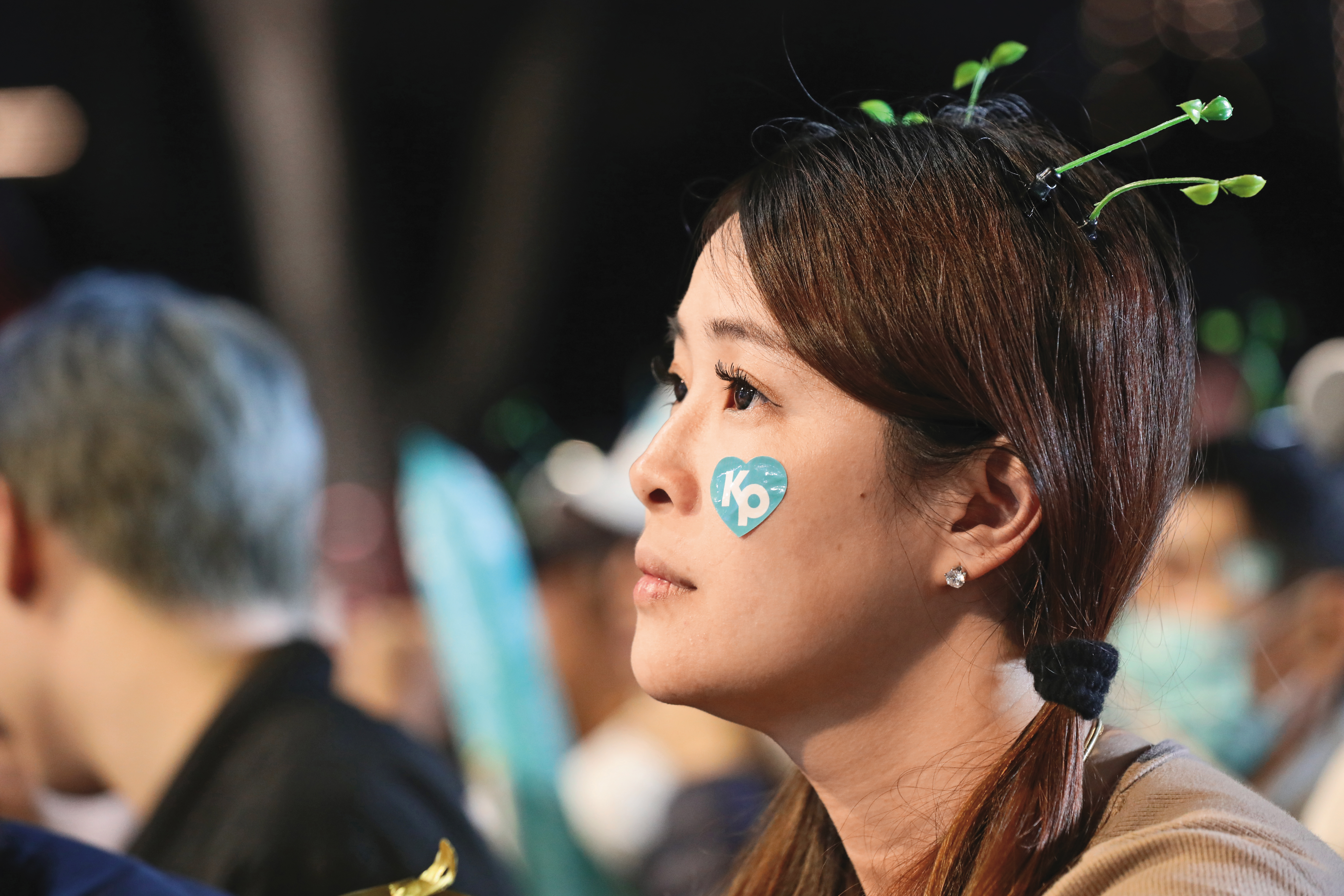 在沒白營母雞的縣市，小草投票意向牽動選情。