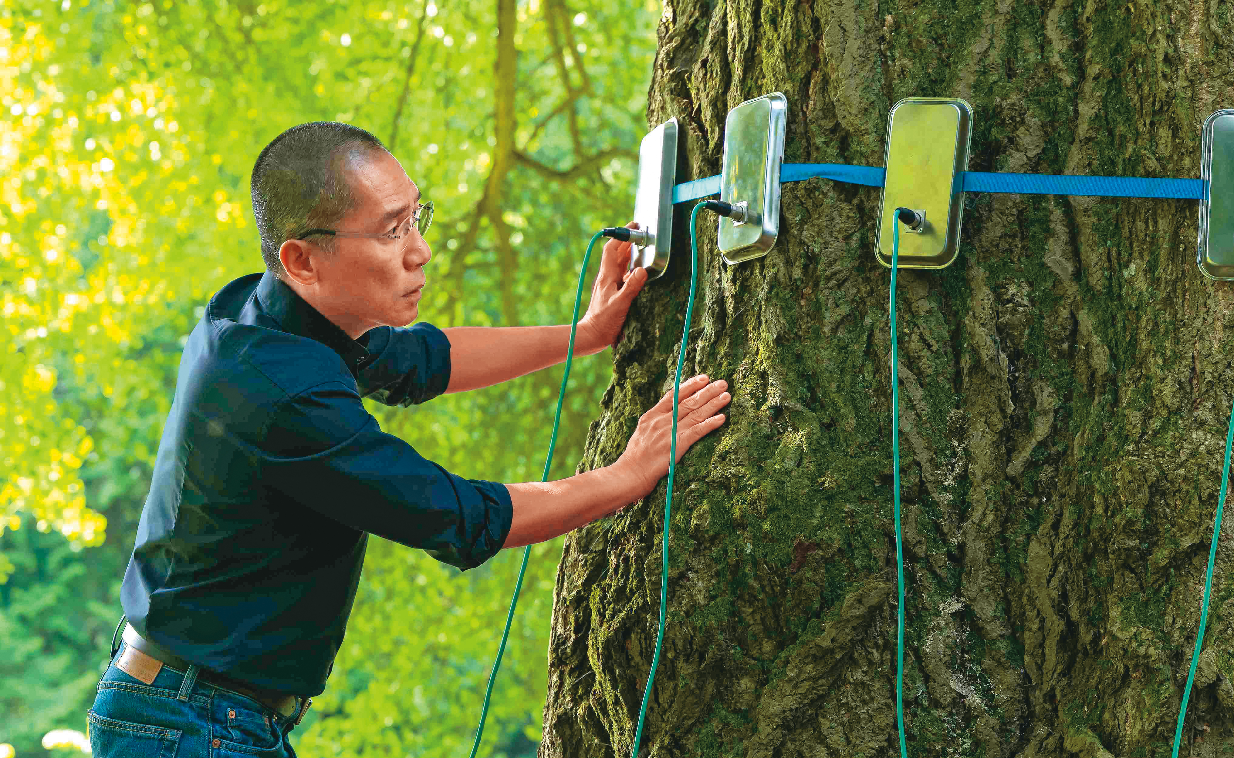 梁朝偉飾演的腦神經科學家因疫情被困在空無一人的大學校園，與古老的銀杏樹產生了靈魂的共鳴。（海鵬提供）