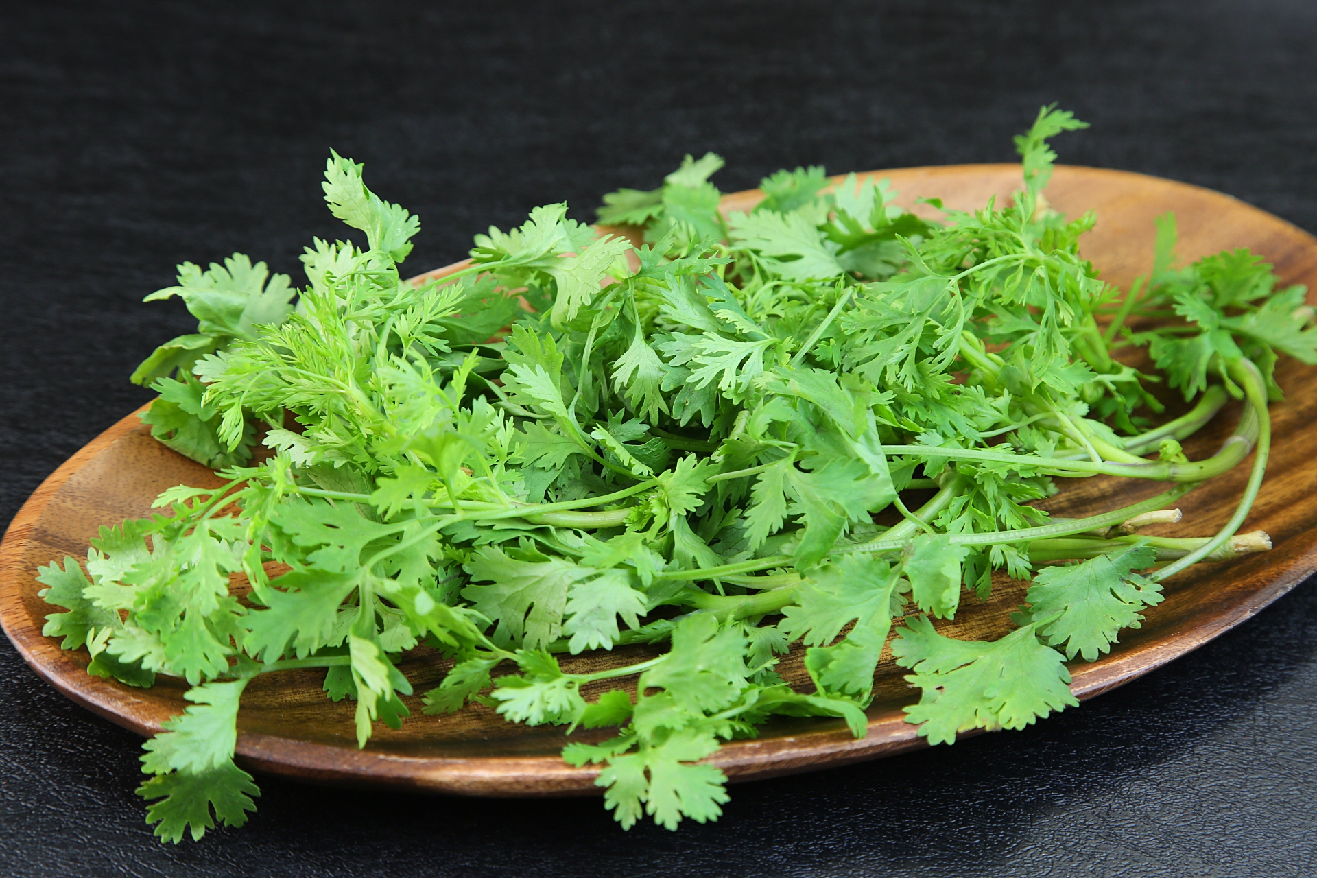 醫師指出，雖然香菜有人喜歡，也有人討厭，但香菜對身體有益，也被稱為天然的「重金屬清道夫」，圖為示意圖。（翻攝自PhotoAC圖庫）