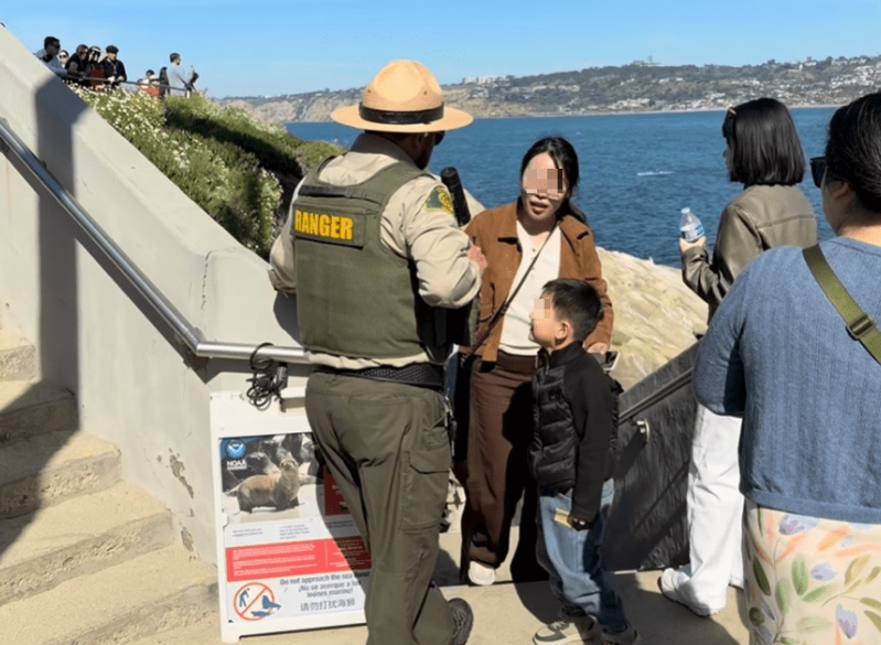 中國一家庭到美國聖地牙哥知名的觀光勝地「拉荷亞海灣」觀光，母親卻放任孩子以石頭攻擊海獅。（翻攝自Ig@jimgrantphotos）
