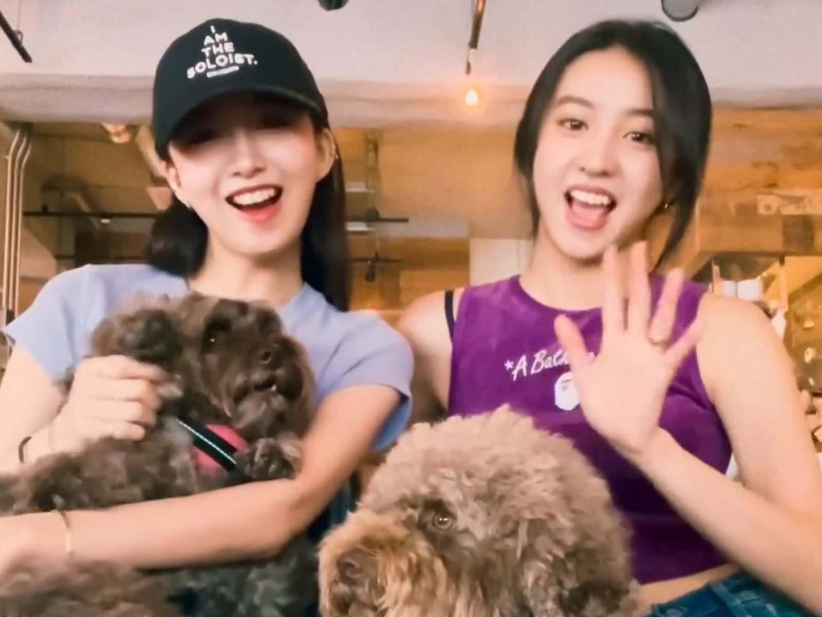 木村光希(右)和姊姊心美(左)久違同框,各自抱著狗狗,萌翻眾人。(翻攝koki IG)