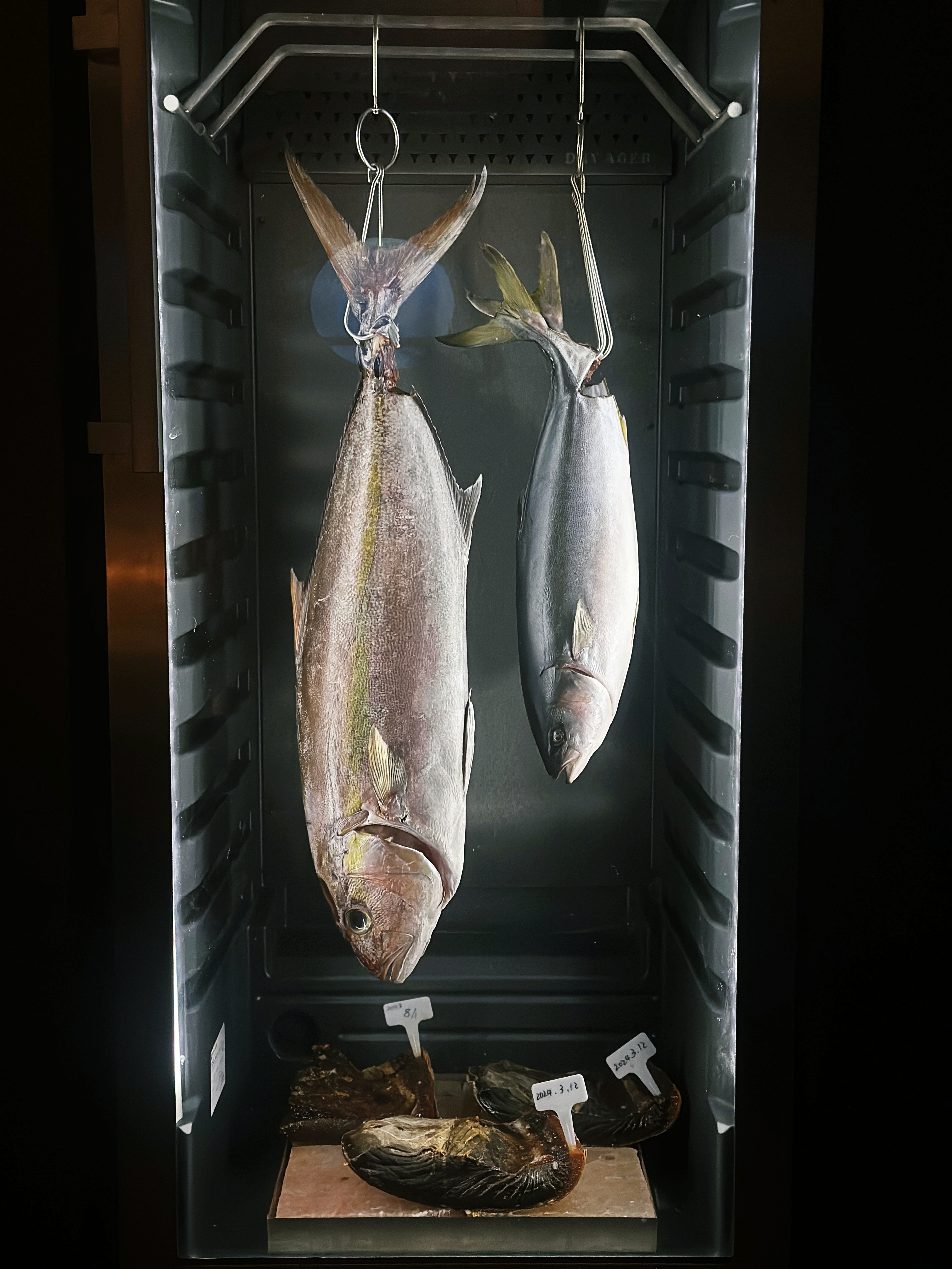 熟成室裡冬天有煙仔虎、鬼頭刀；夏季有紅甘與青甘等不同魚貨，餐點菜色依照季節時令更換。