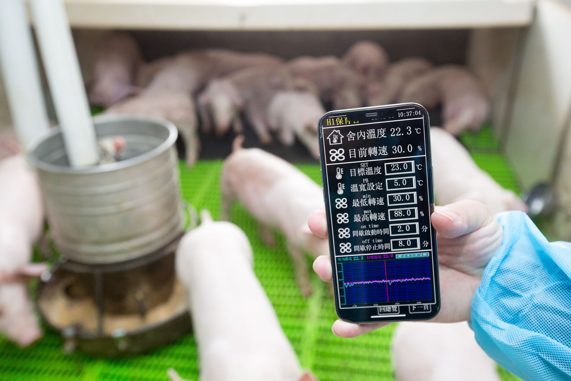 以程式控管空氣、飼料設備運作,不僅節省人力,還能累積數據資料作為研究使用。