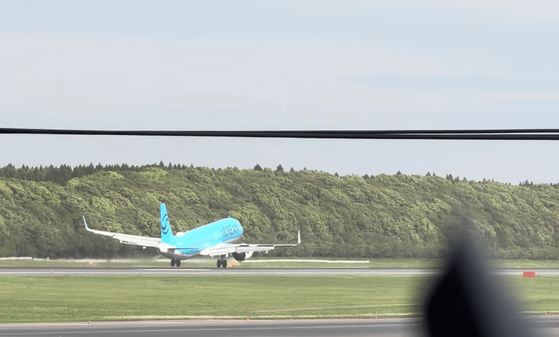 1架從南韓釜山飛往東京的大韓航空KE707班機,降落最後一刻重飛,驚險畫面讓人看傻。(翻攝自なりそら YT)