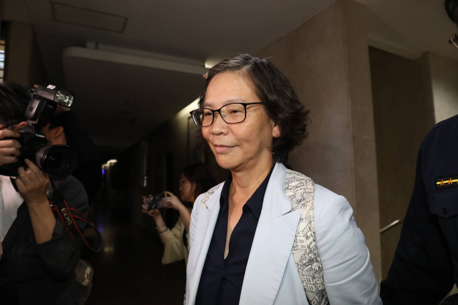 蔡壁如表態參選民眾黨中央委員，且不排除參選黨主席，她今接受專訪表示，林富男若有意扛責她會舉雙手雙腳贊成。（本刊資料照）