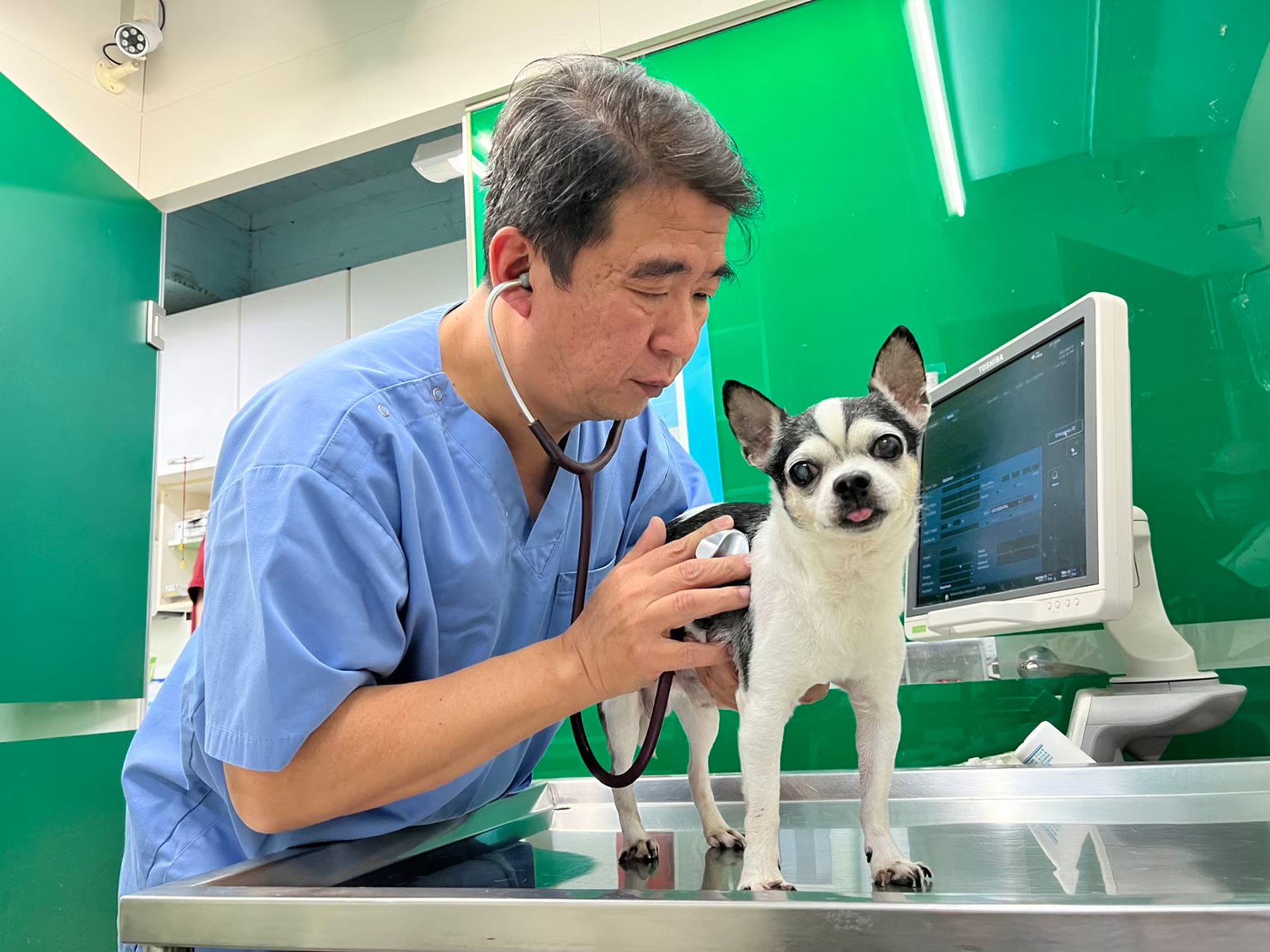 台北市獸醫師公會理事長楊孝柏表示:「選擇適合寵物的飼料,不僅關乎牠們的健康,更關乎牠們的生活質量。一定要360度全方位管理,飲食醫療雙管齊下,寵物才可能健康」。(法國皇家提供)