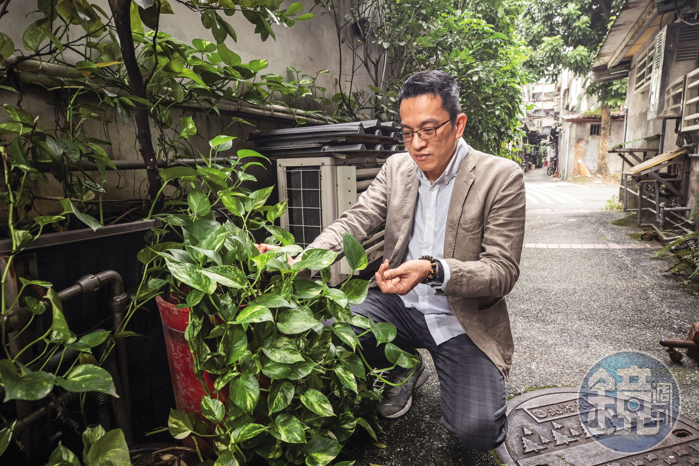 種植物注重方位，張琨琳的後巷是南方，五行中屬火，取其「木生火」之意，象徵財運生生不息。