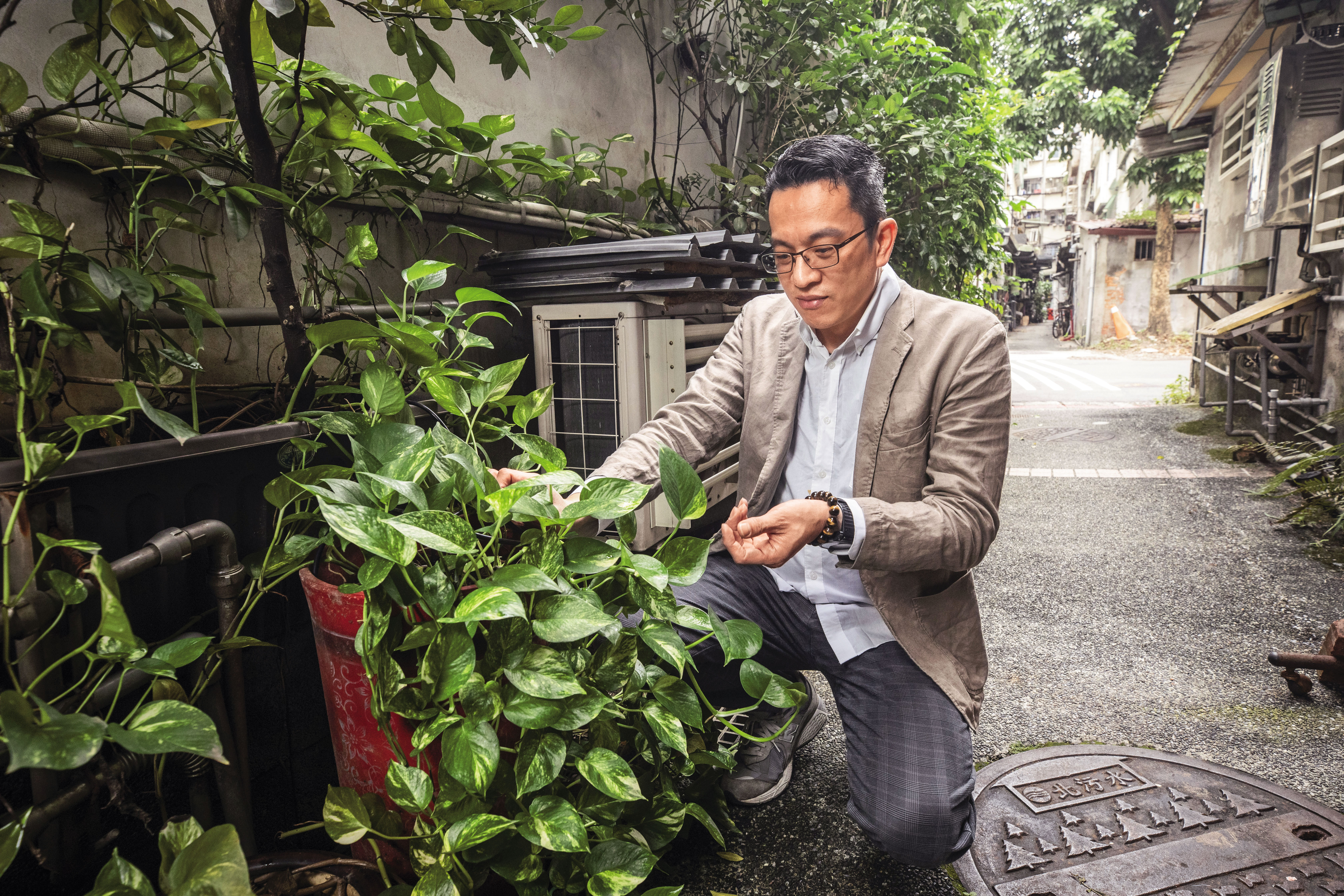 種植物注重方位,張琨琳的後巷是南方,五行中屬火,取其「木生火」之意,象徵財運生生不息。