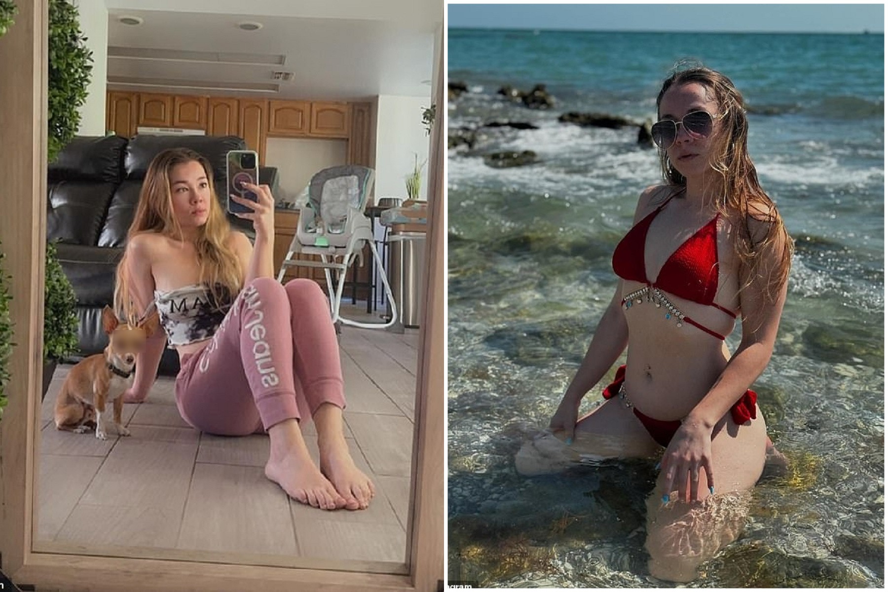 網紅裝「愛心狗媽媽」，性侵吉娃娃和小狗！拍成性愛片賺錢。（翻自《每日郵報》）