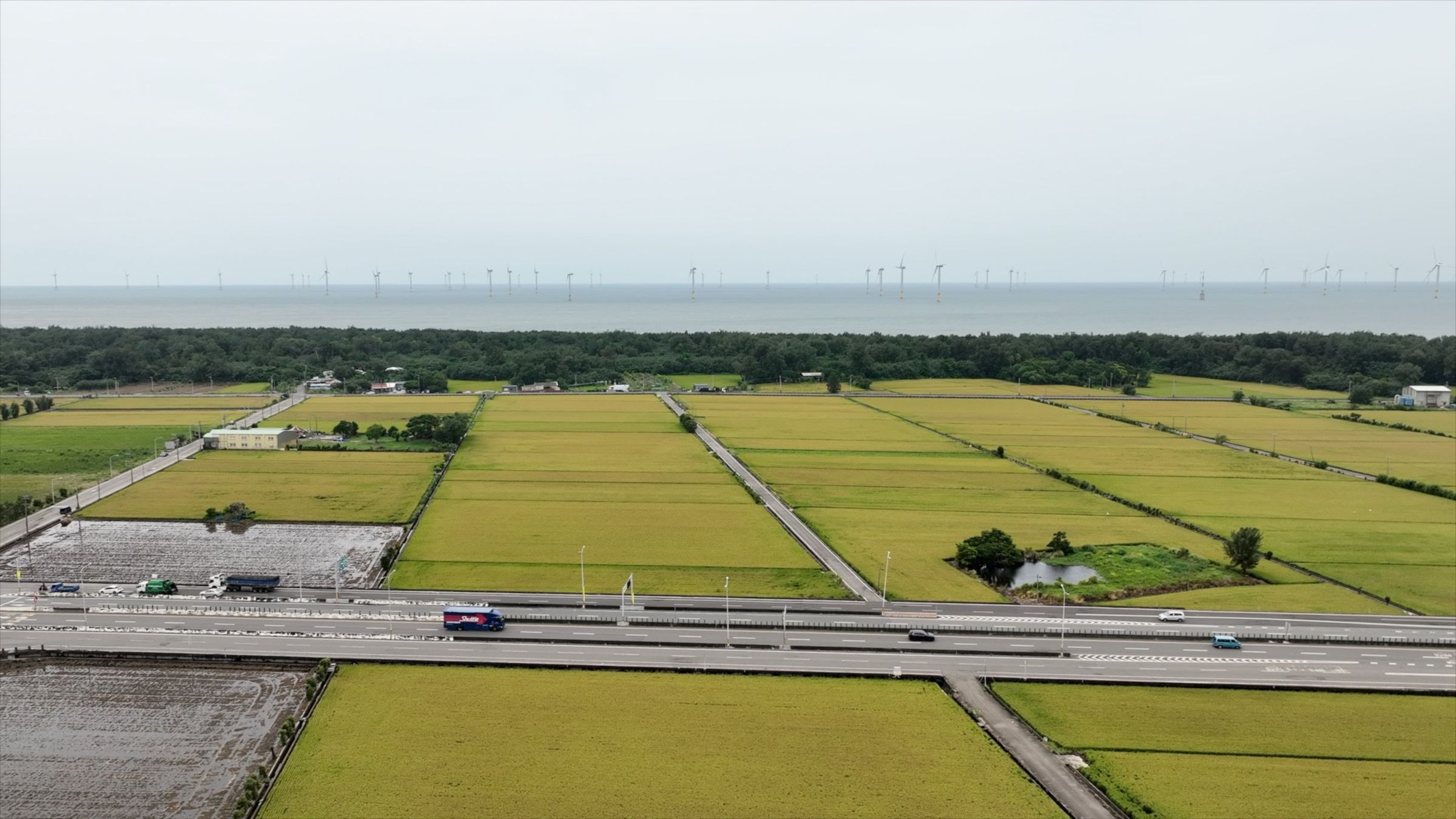 綠地、海景、慢步調,苗栗生活圈多了份從容與自在。