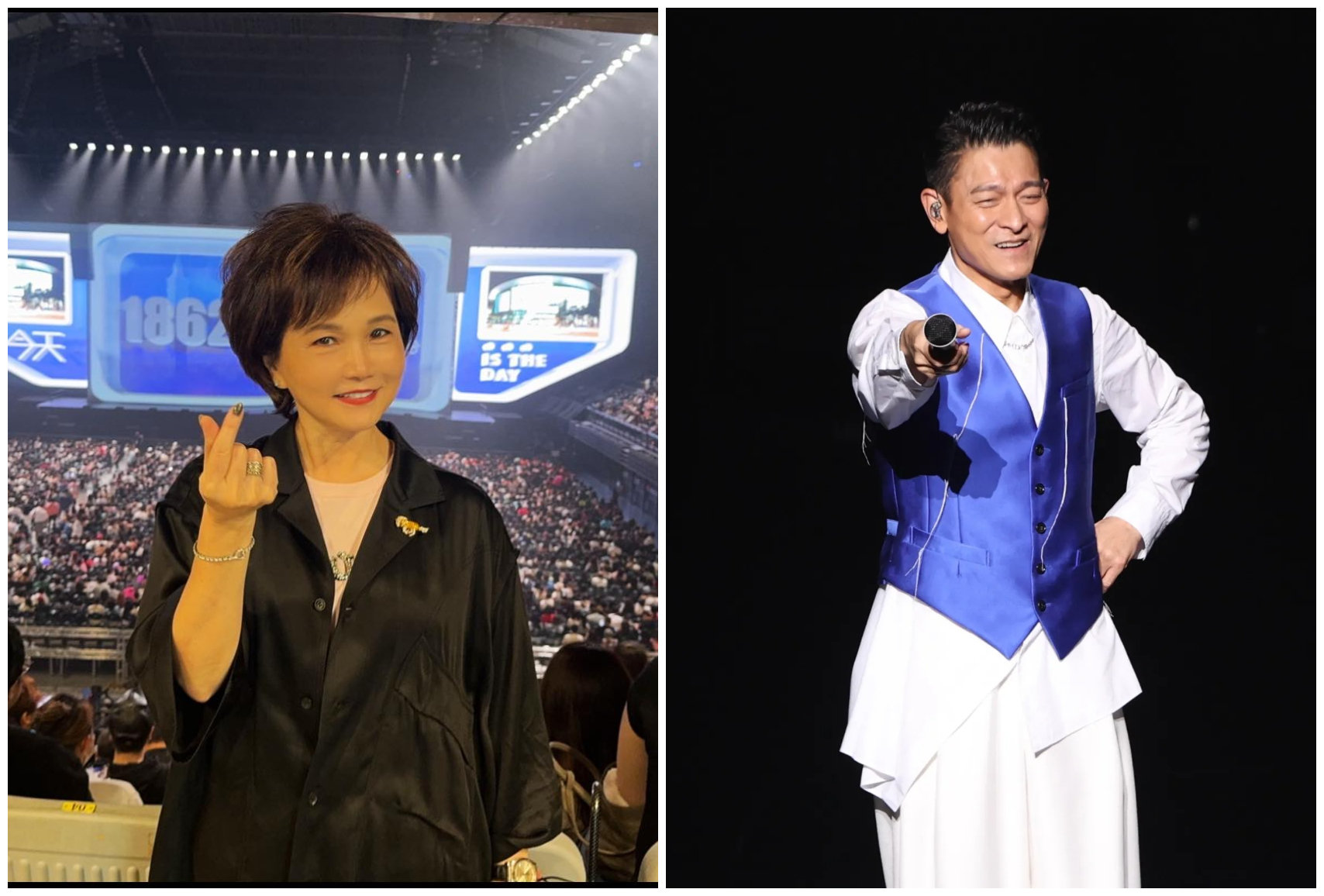 沈春華朝聖劉德華演唱會，滿滿感動。（翻攝沈春華臉書、本刊資料照）