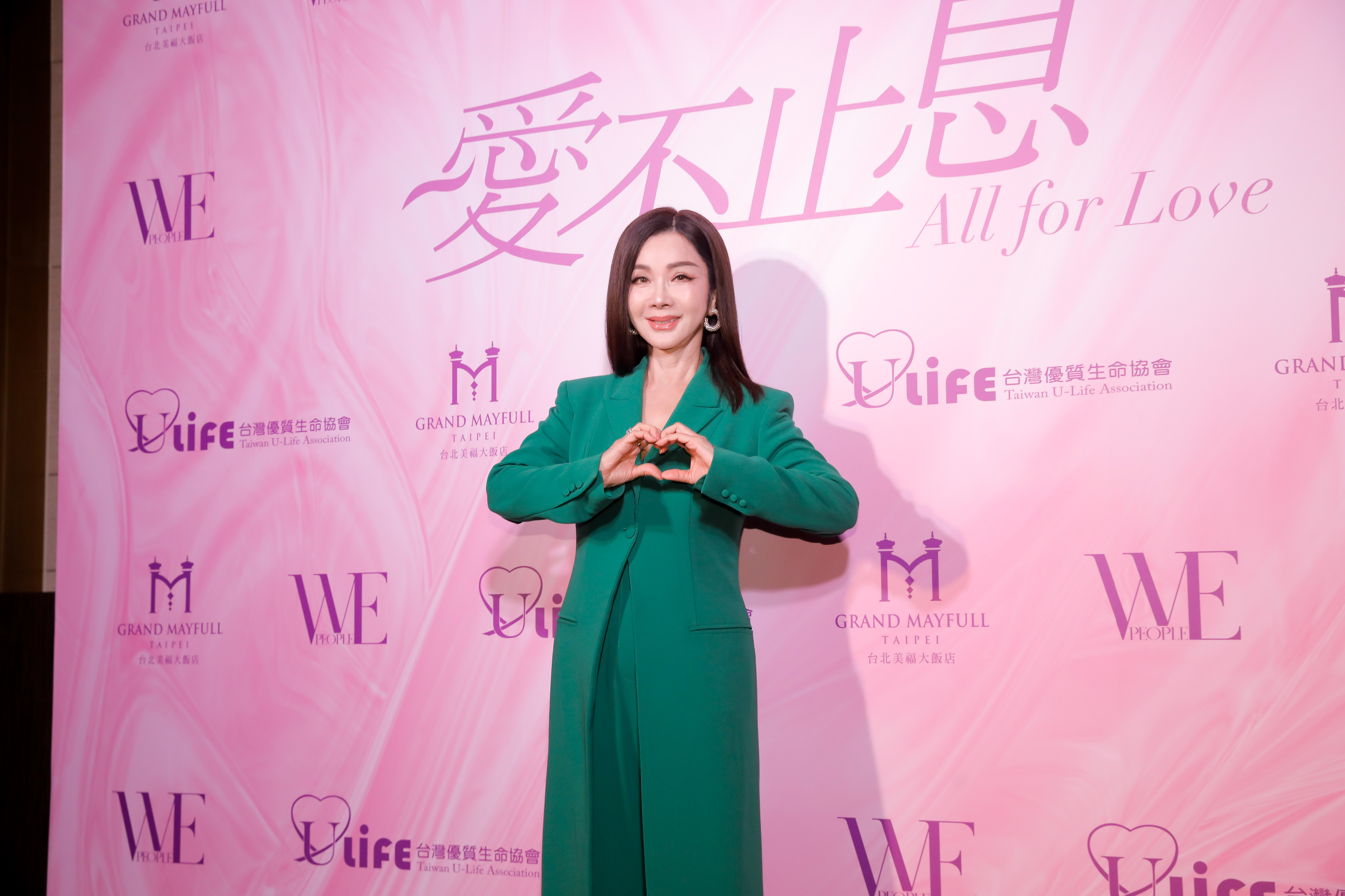 陳美鳳接台灣優質生命協會理事長，坦言募款壓力很大。