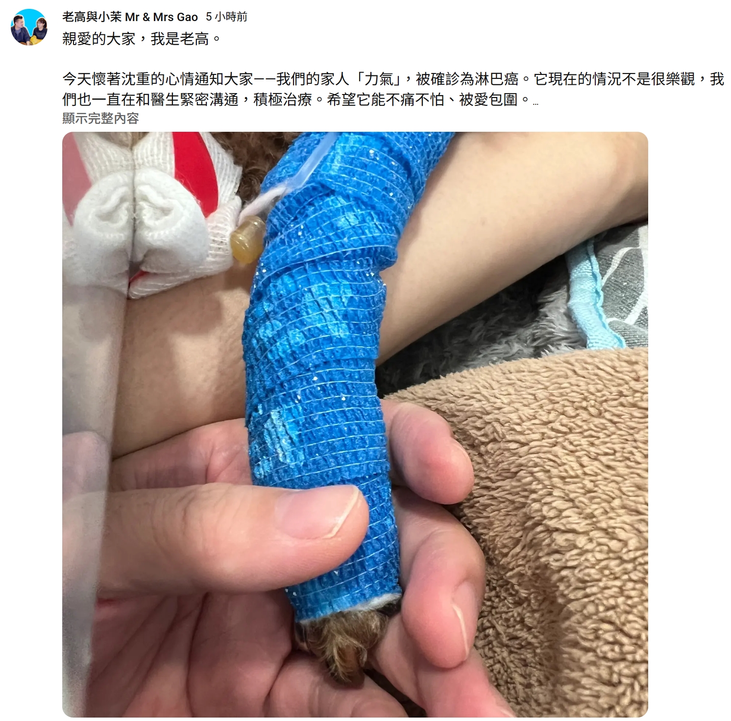 老高透露因家中毛小孩被診斷為淋巴癌，「現在的情況不是很樂觀」，希望能把全部時間與心力都放在陪伴與照顧上。（翻攝YT頻道／老高與小茉 Mr & Mrs Gao）