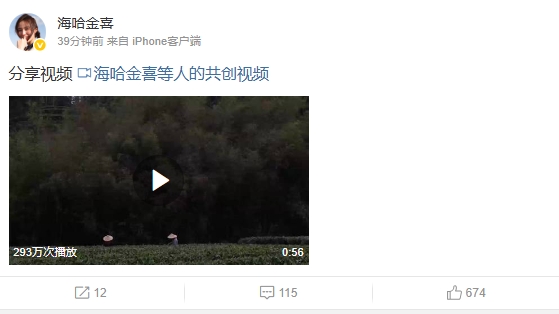 李亞鵬與海哈金喜今(14日)稍早於微博發布一段影片,宣布已離婚的消息。(翻攝自微博@海哈金喜)