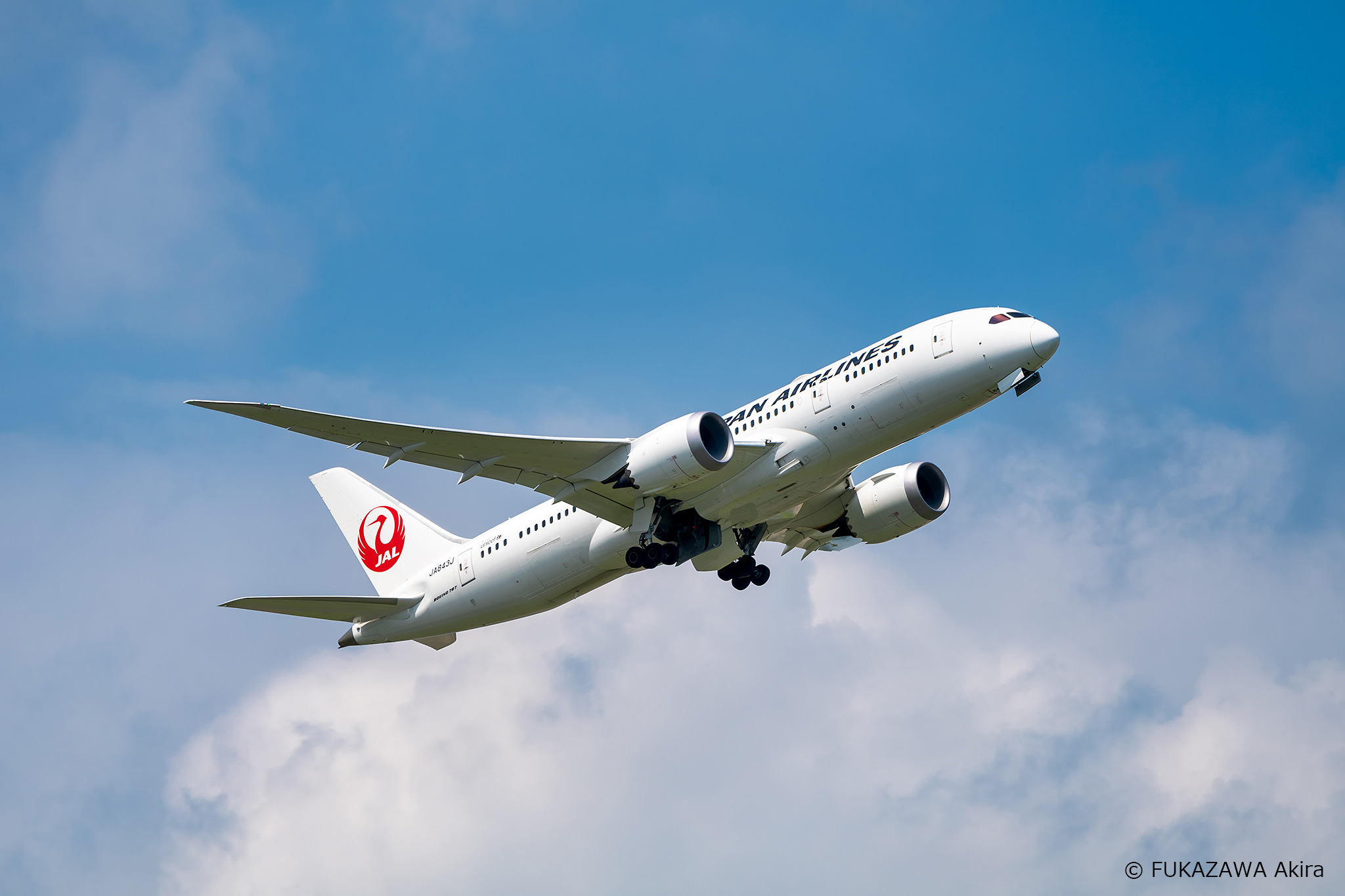  日本航空「解放雙腳」新制上路。（翻攝日本航空（JAL）臉書）