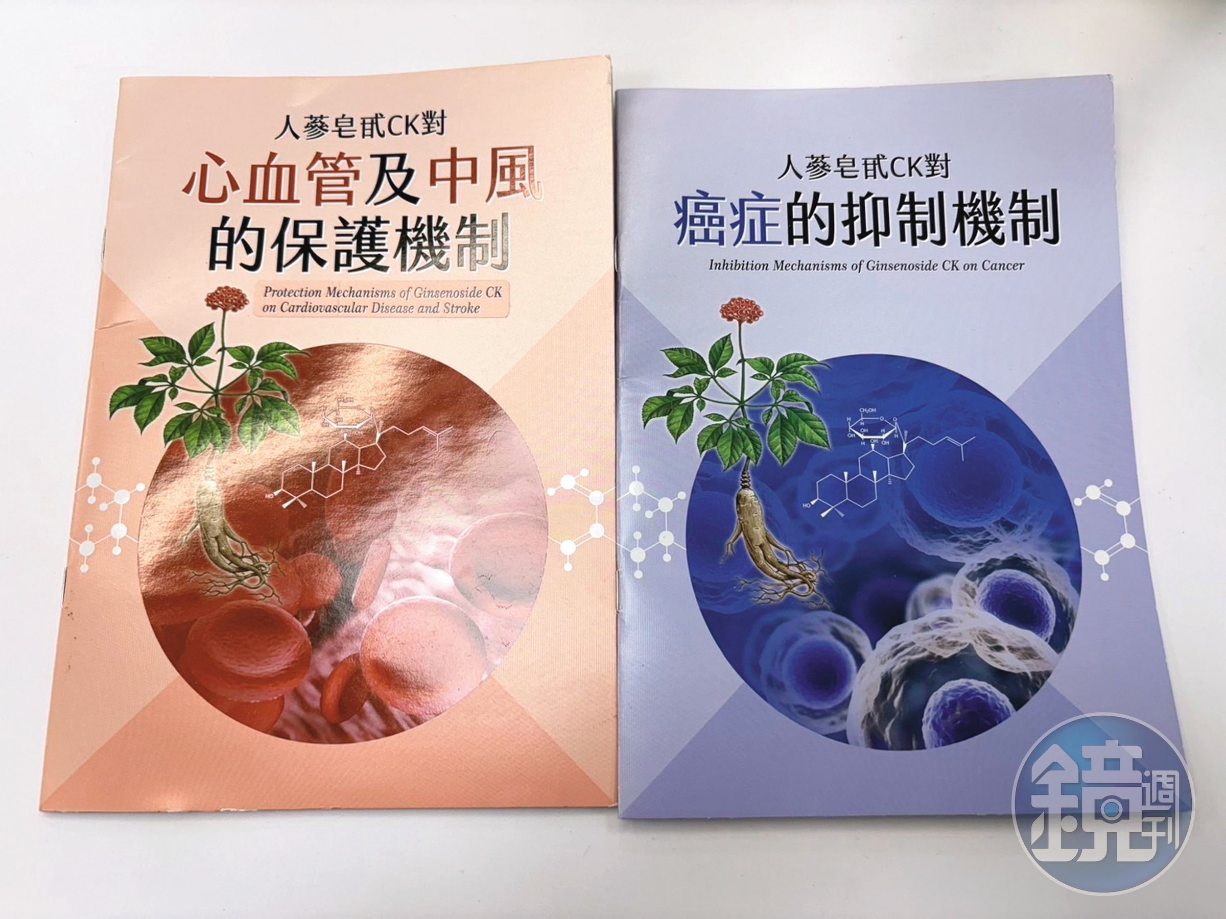 六順診所印製文宣品，向病患說明人參皂甙對中風和癌症的功效。（讀者提供）