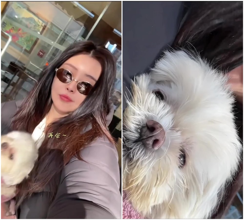 王祖賢懷中抱著愛犬「智悟」,相當可愛。(翻攝王祖賢抖音)