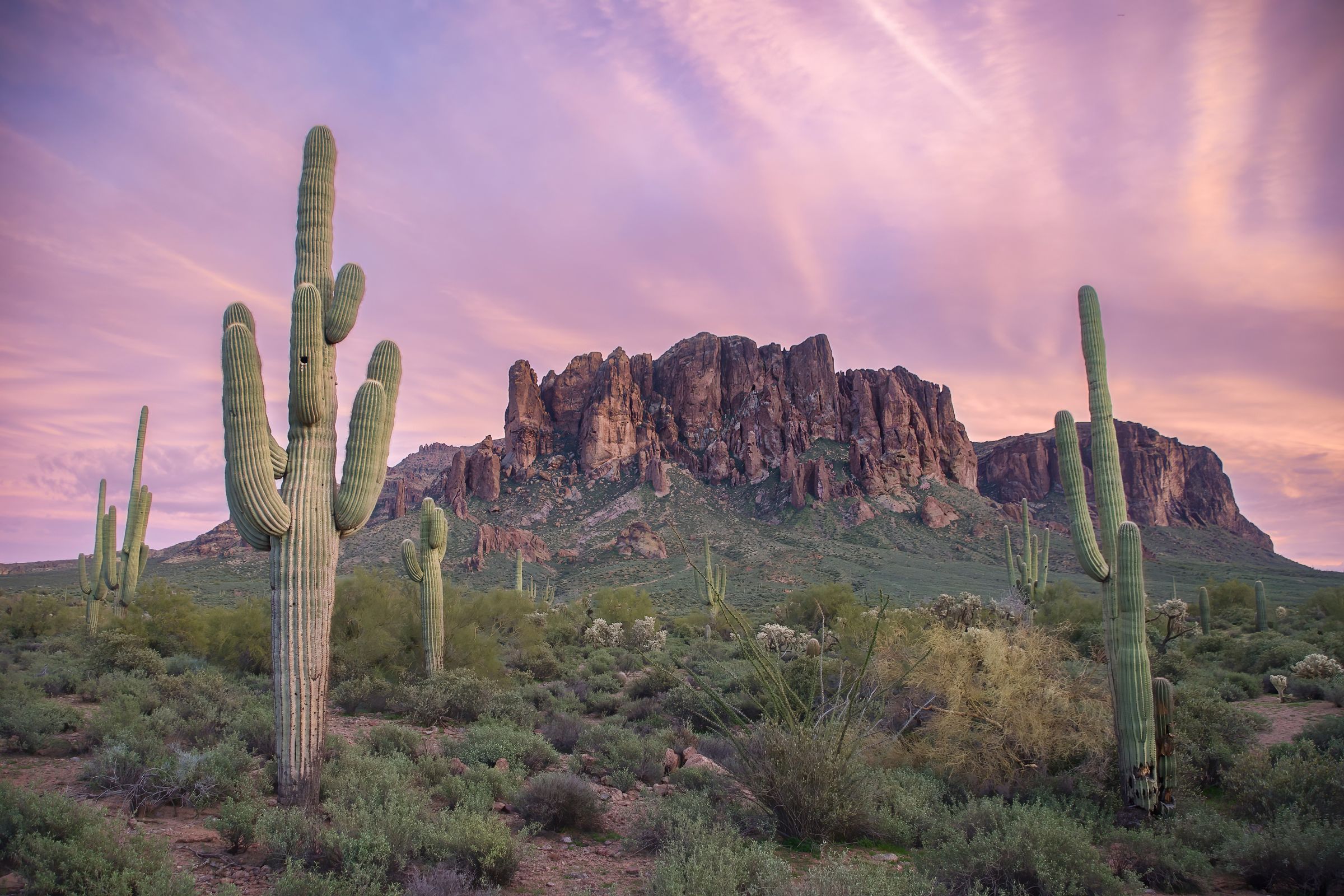 仙人掌國家公園(Saguaro National Park)富含數百種仙人掌、草叢、灌木、樹林、鳥類、哺乳類和爬蟲類。