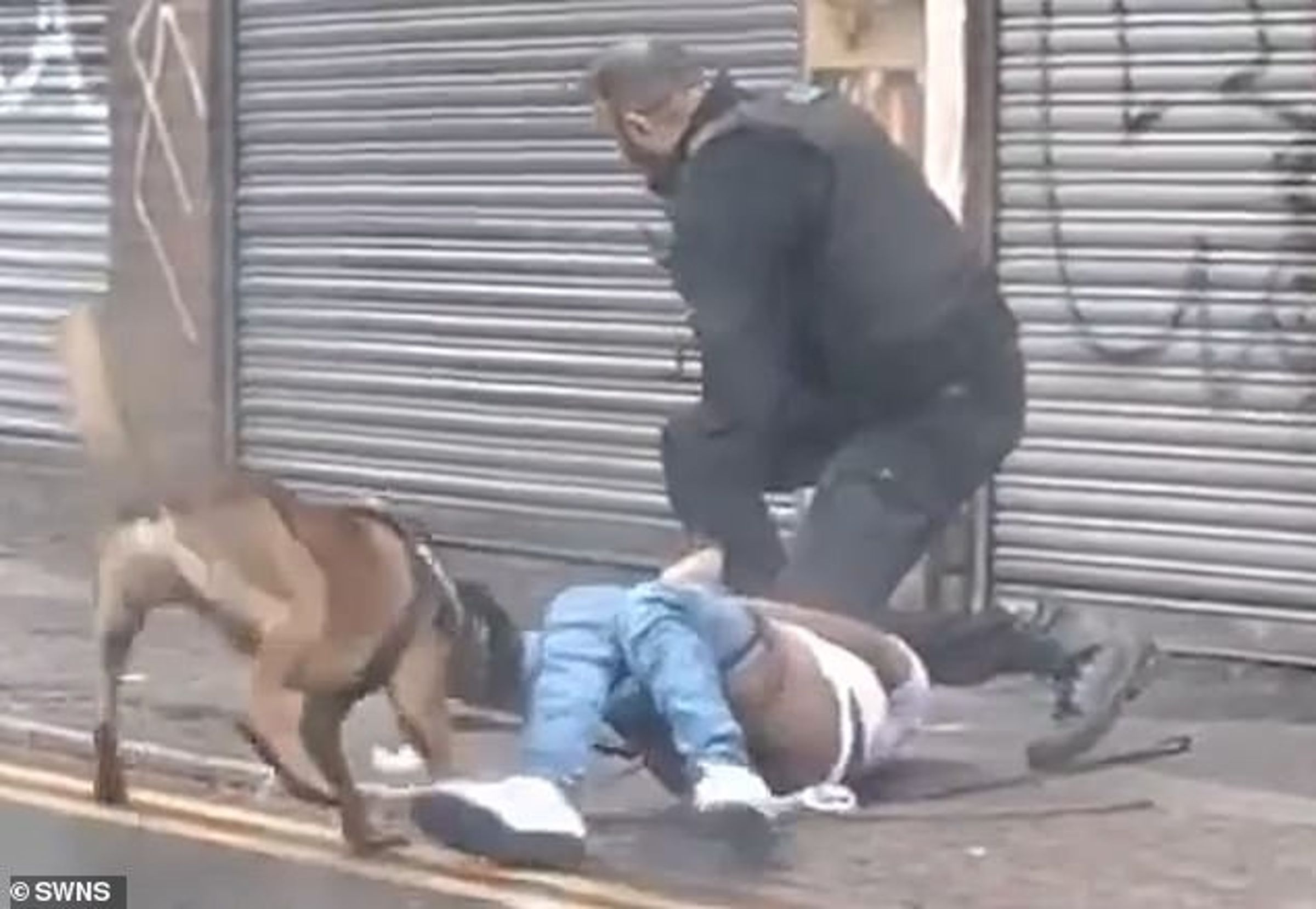 警犬逮嫌犯,鎖定下體硬上脫褲!女鄉民「害怕牠執法過當咬爆生殖器」。(翻自《每日郵報》)
