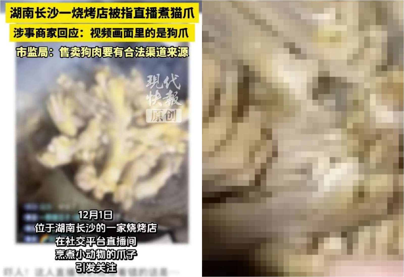 湖南長沙一家燒烤店疑似烹煮貓爪,店家澄清「是狗爪」。(翻攝自現代快報)