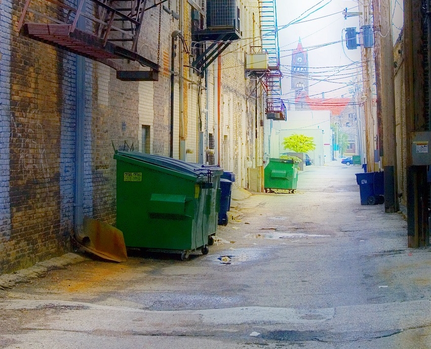 2名街友躲垃圾桶裡過夜，卻不慎被倒入垃圾車中；示意圖。（Pixabay／Image by tcausley）