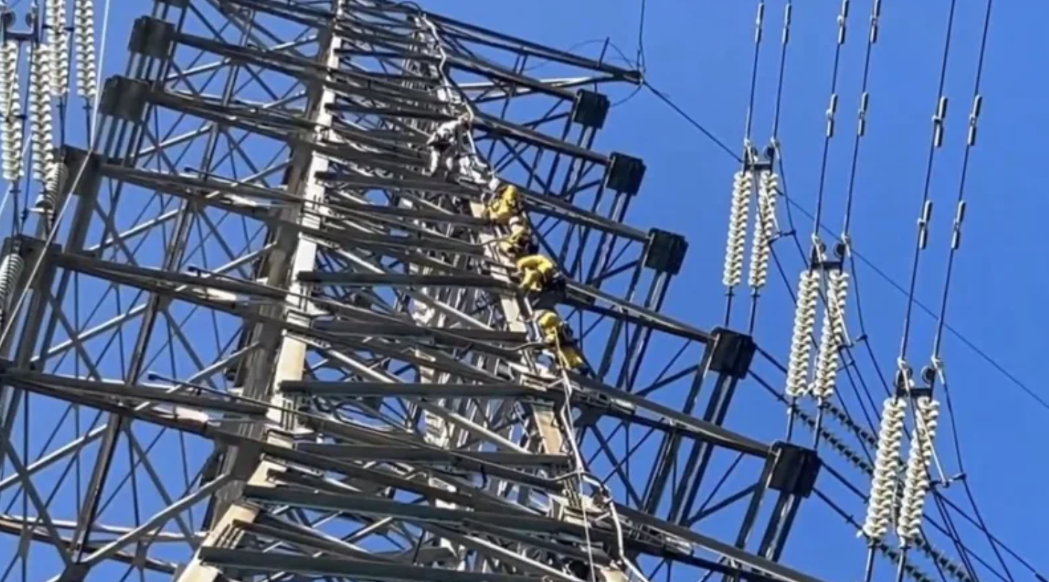 一名移工陳屍桃園一處電塔上，4名特搜徒手爬上高壓電塔搬運遺體。（翻攝照片）