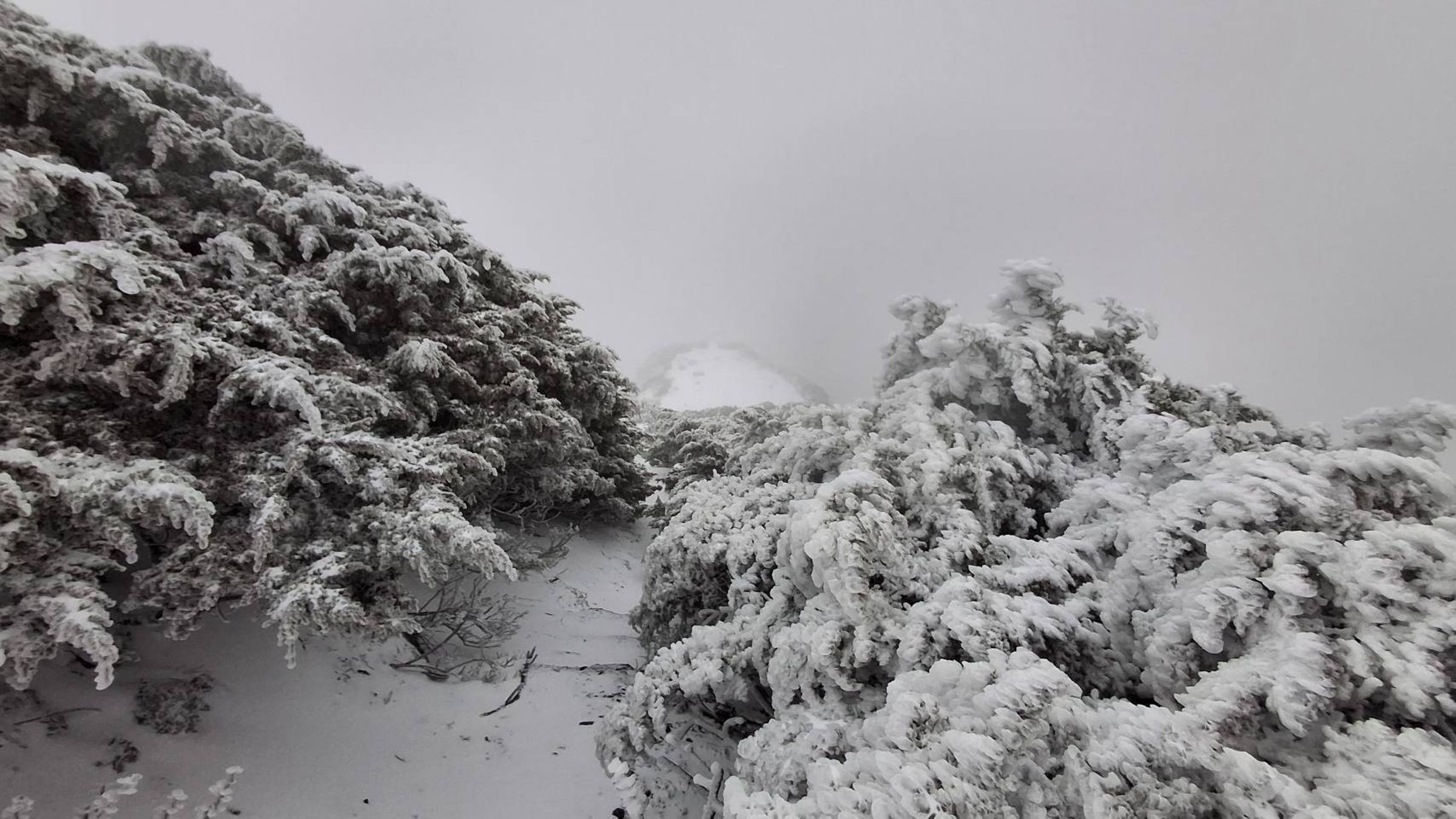 受到強烈大陸冷氣團影響，玉山「零下2.6度」降3月雪。（翻攝自臉書粉專報天氣 - 中央氣象署）