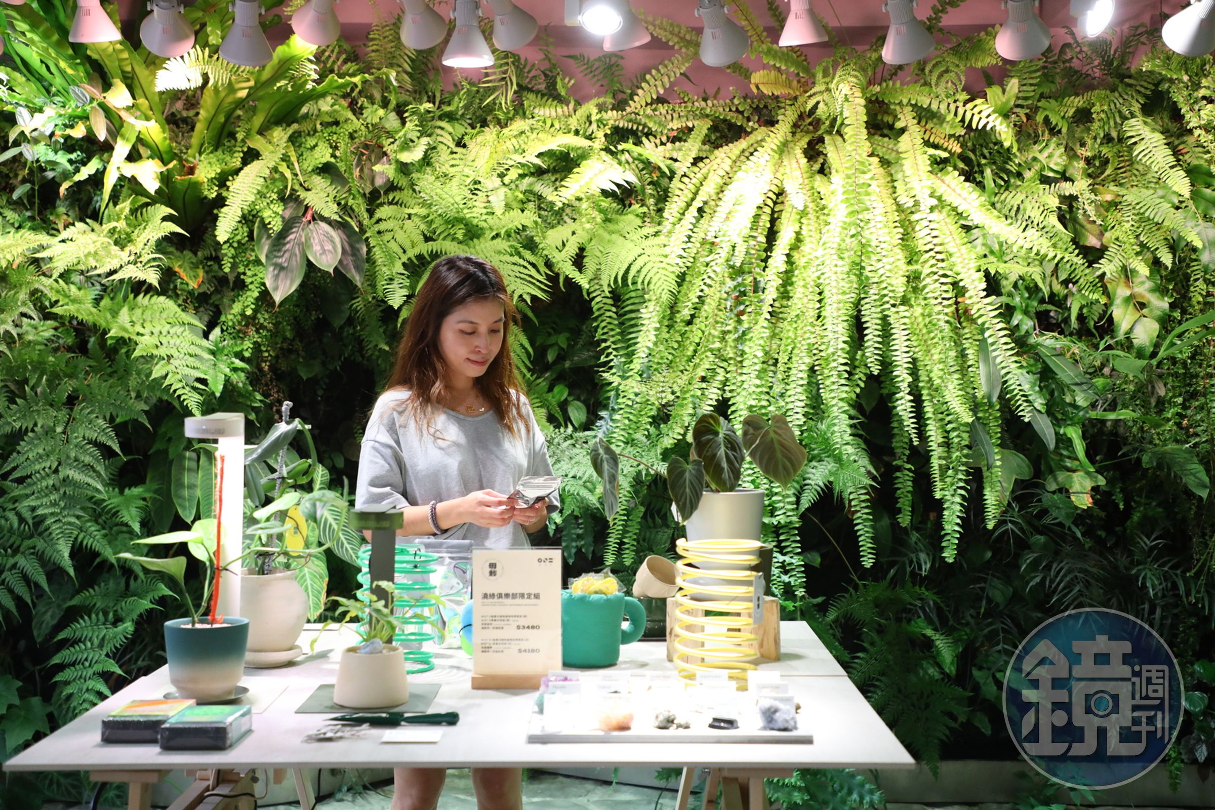 「ONF光之間」和植礦品牌「母栽」結合成現代人在家培育植物的必需品。