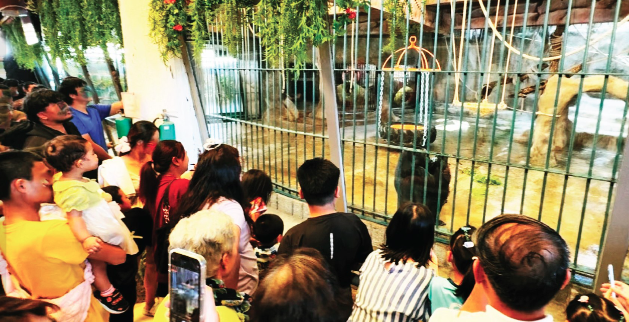 泰國一對情侶到「帕塔動物園」行竊。（翻攝自臉書สวนสัตว์พาต้า）