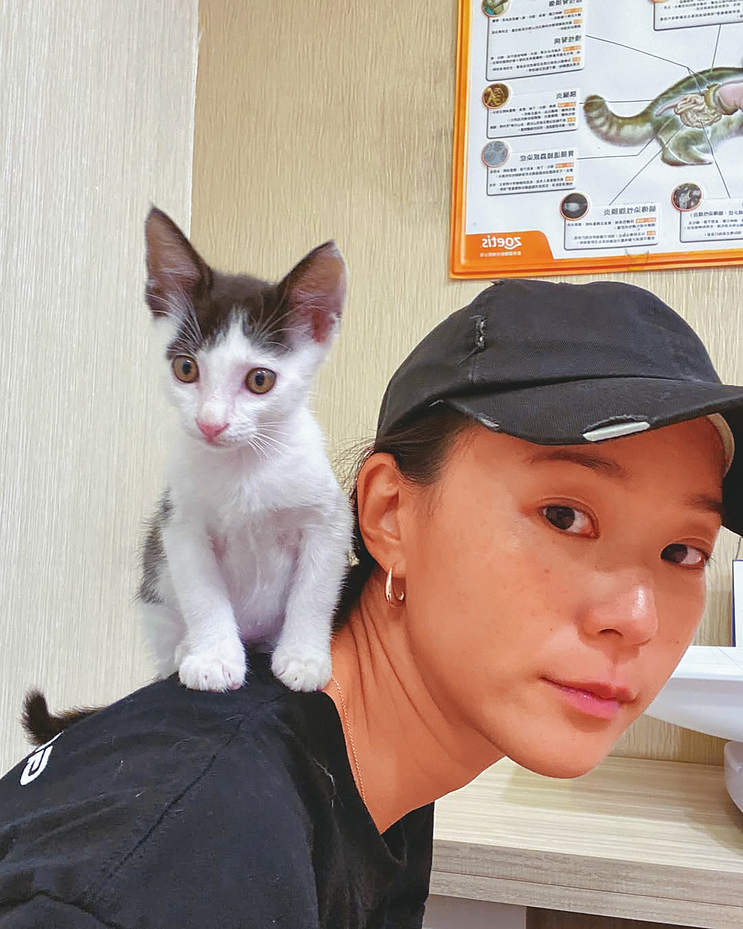 前年19歲愛貓Bucca走後,鍾瑶因中途一窩奶貓,而再養了貓兒子「歪比Wybie」。(翻攝自鍾瑶IG)
