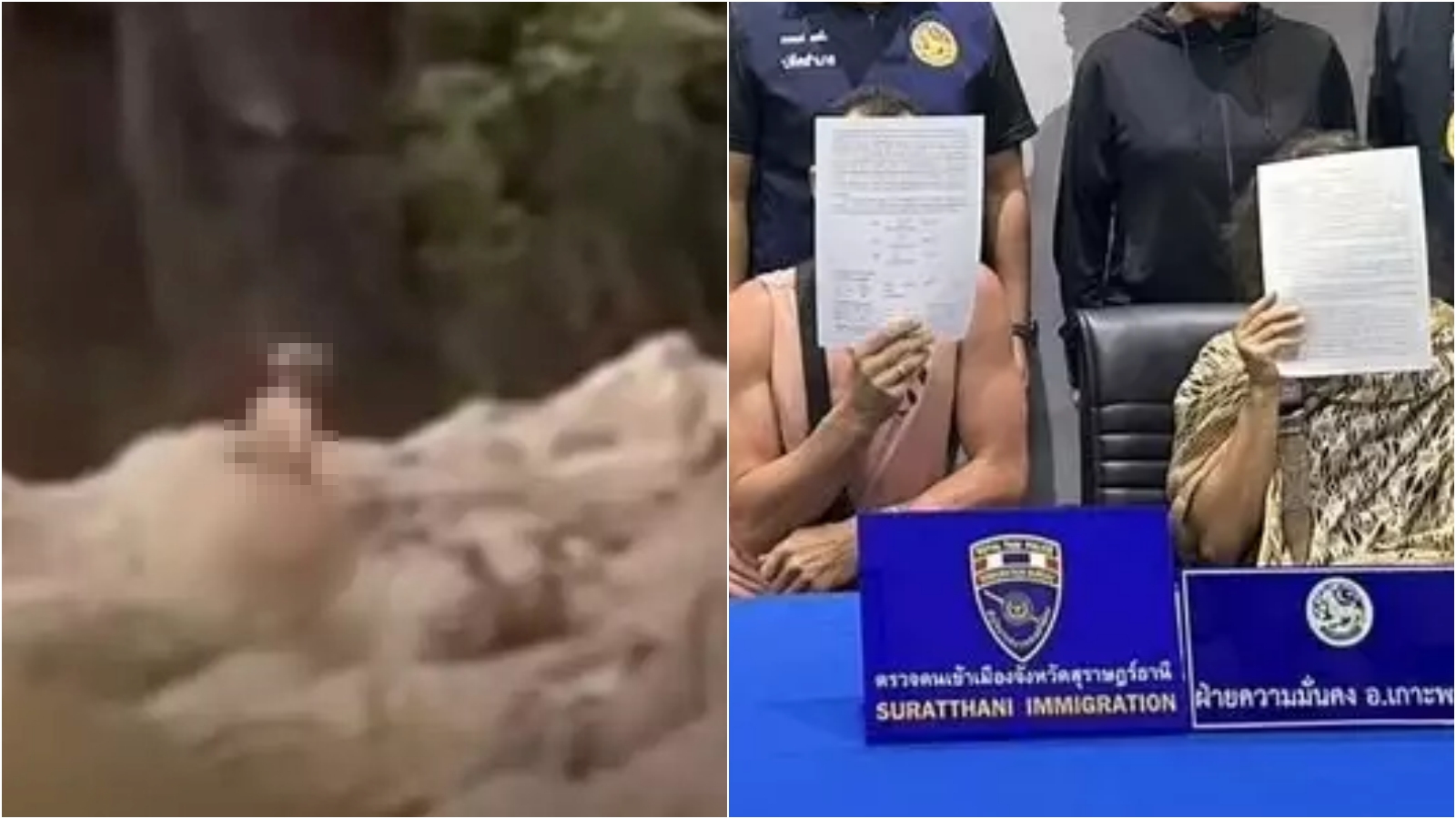 情侶享受在大自然中活春宮被拍下。（翻攝Thaiger、Israel Hayom）